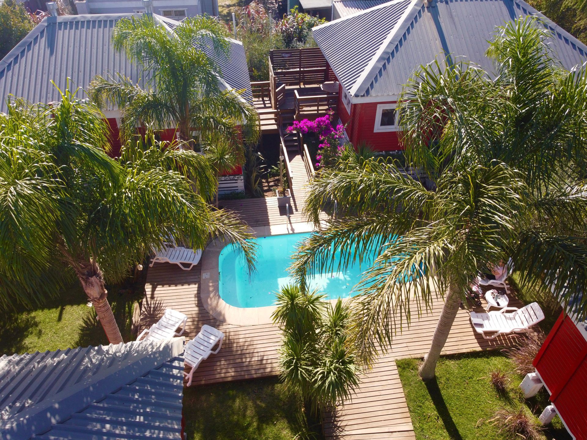 An aerial view of a swimming pool surrounded by palm trees
