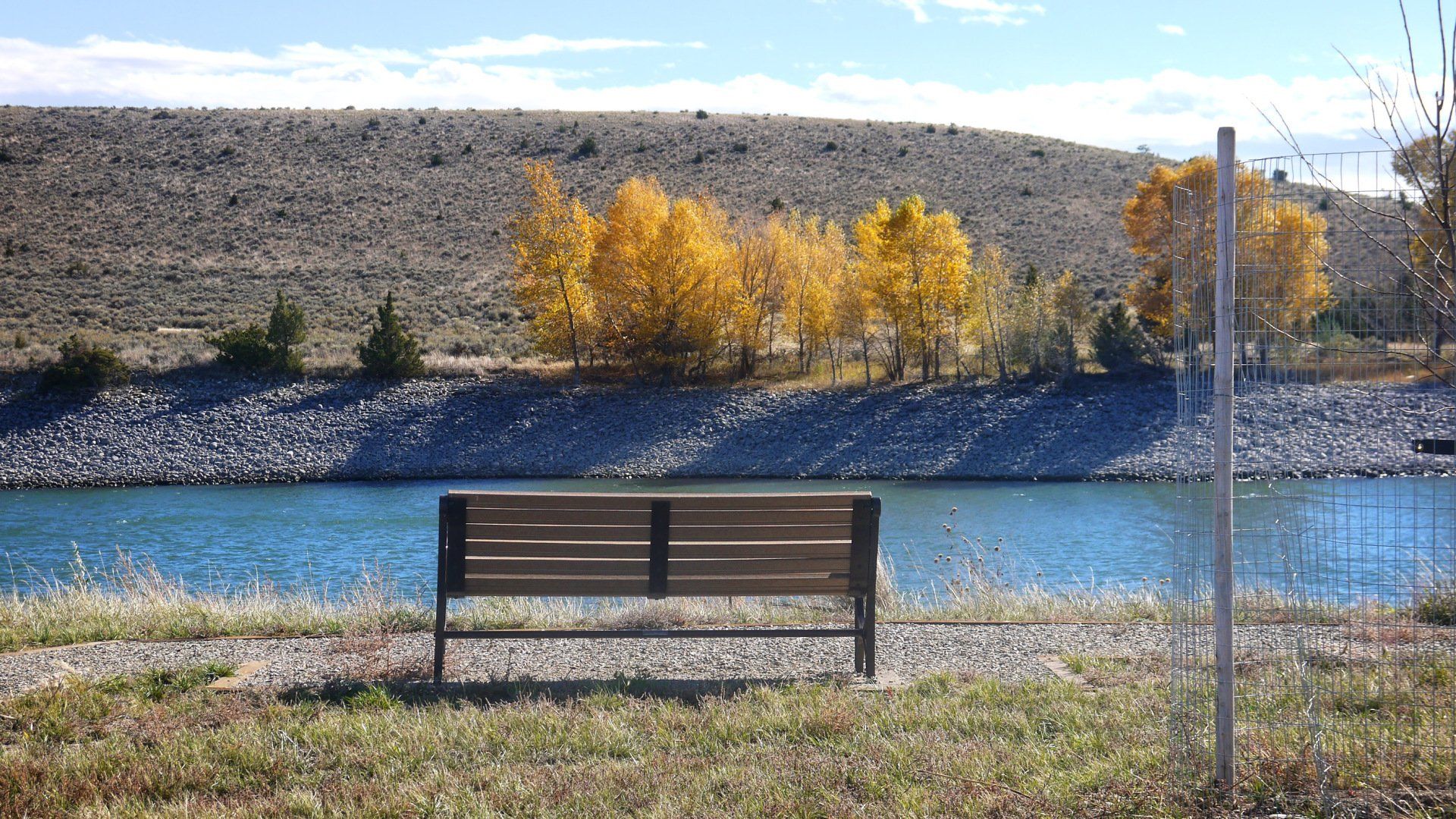 A bench sits in front of a lake with trees in the background