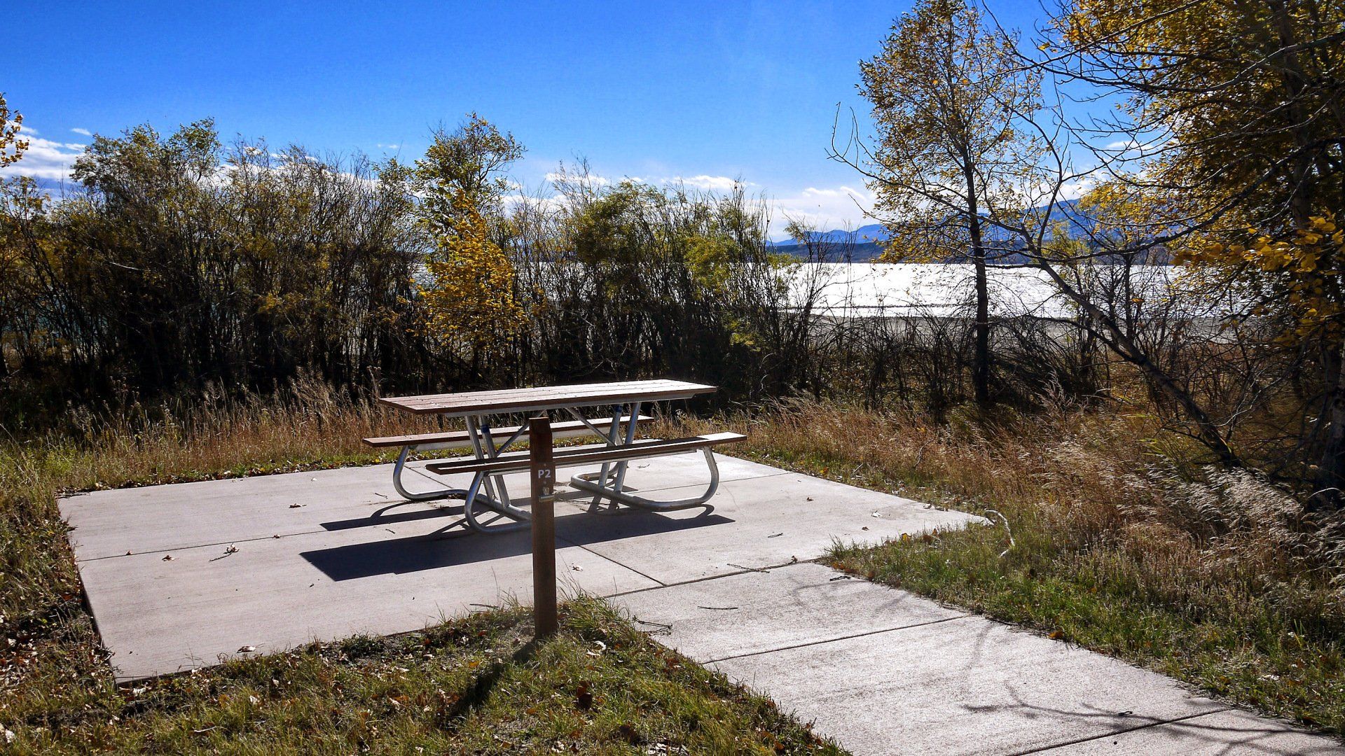 A picnic table in the middle of a field with trees in the background
