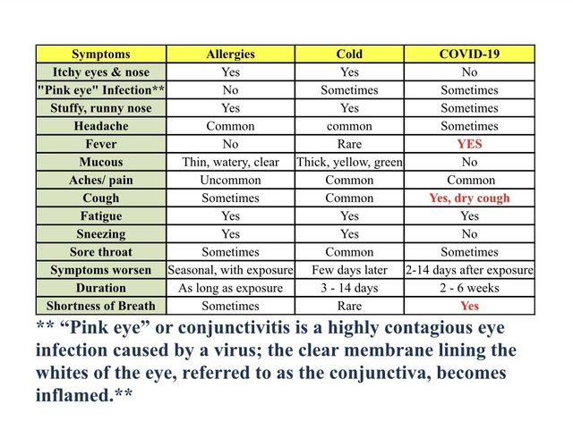 Is It Allergies A Cold Or Covid 19