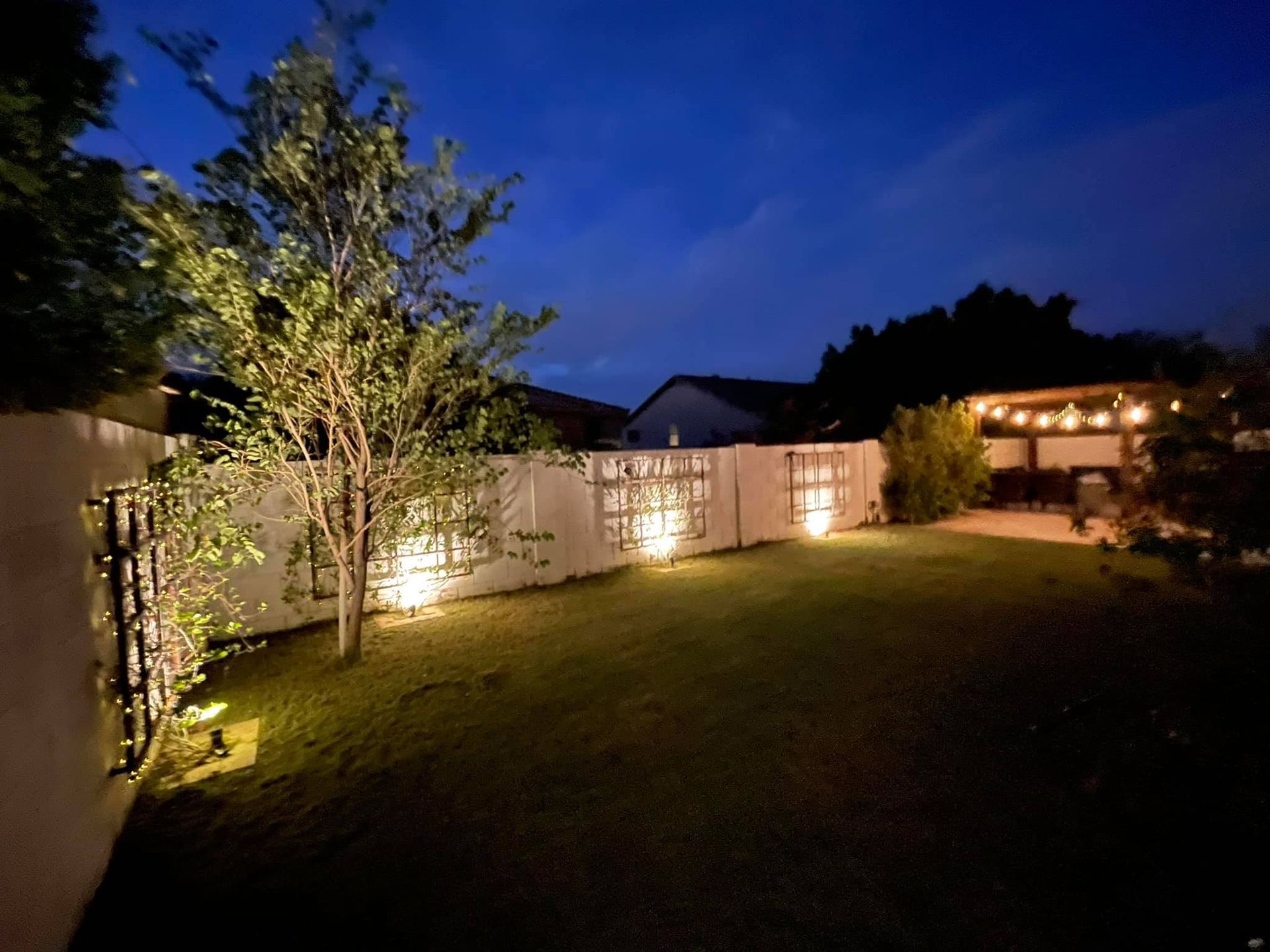 A backyard with a white fence and trees lit up at night.