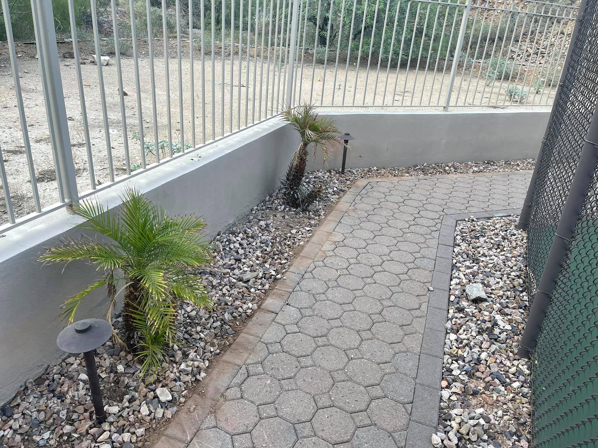 A brick walkway leading to a fence with a palm tree in the middle.