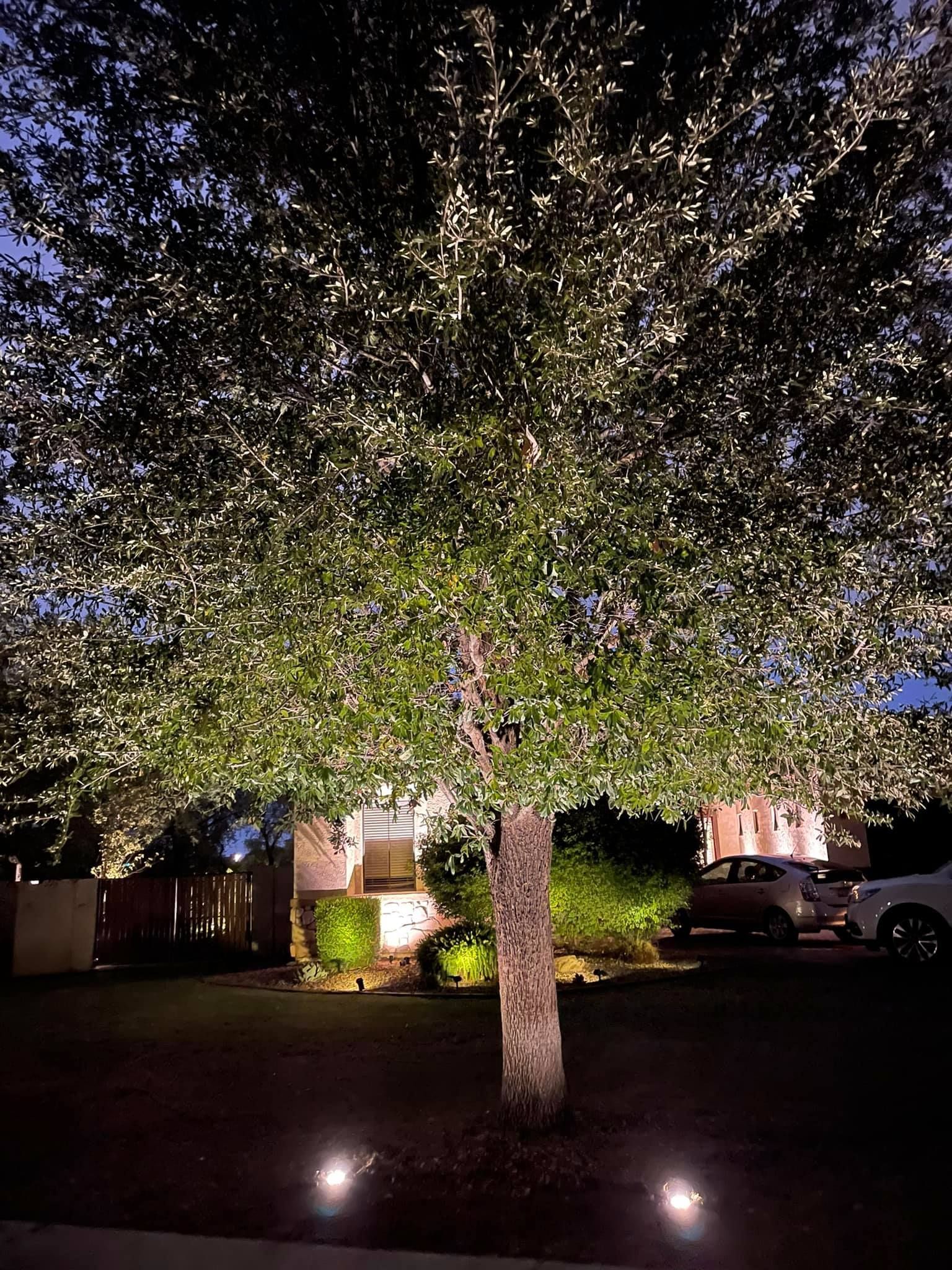 A tree is lit up at night in front of a house.