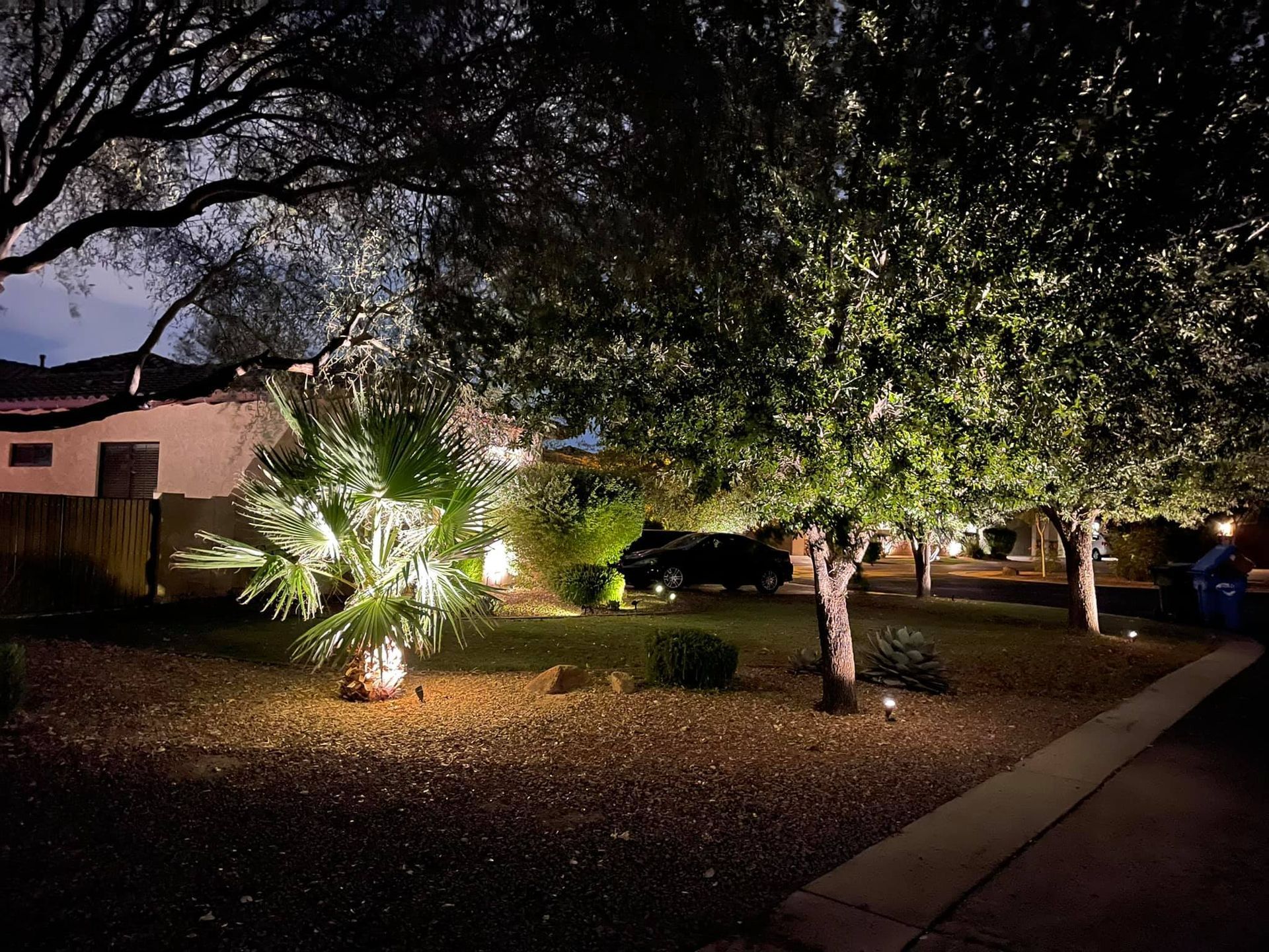 A yard with trees and bushes lit up at night.