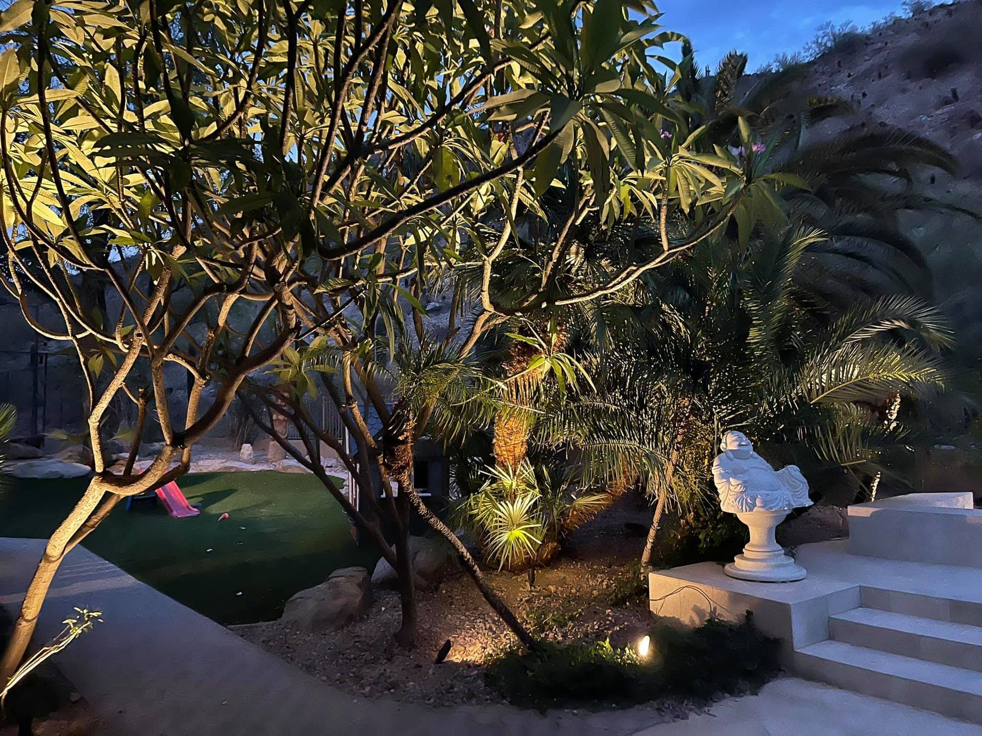 A garden with trees and stairs is lit up at night.