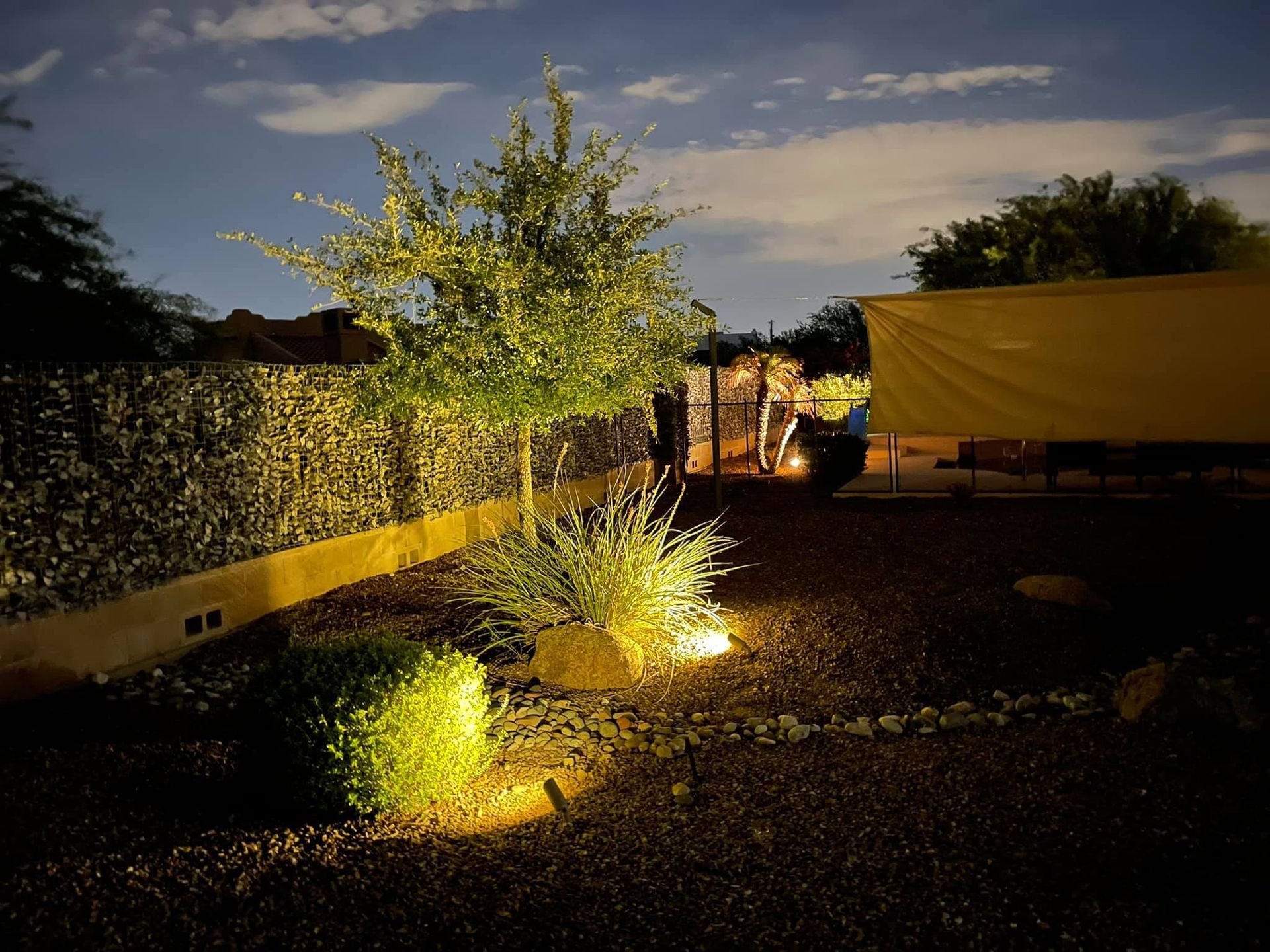 A backyard with trees and bushes lit up at night