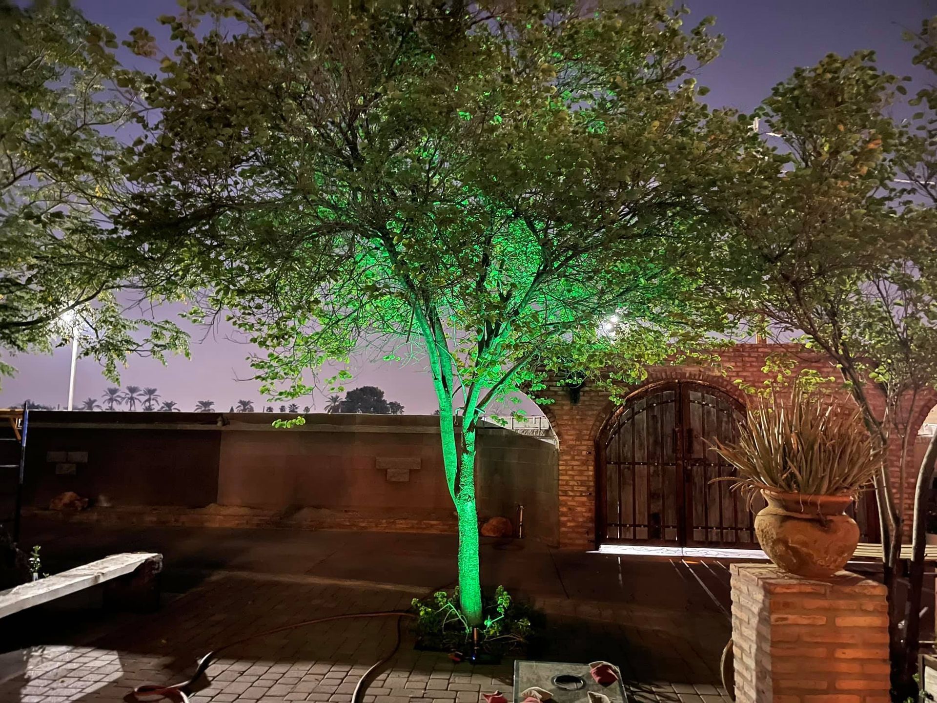 A tree is lit up with green lights in a backyard at night.