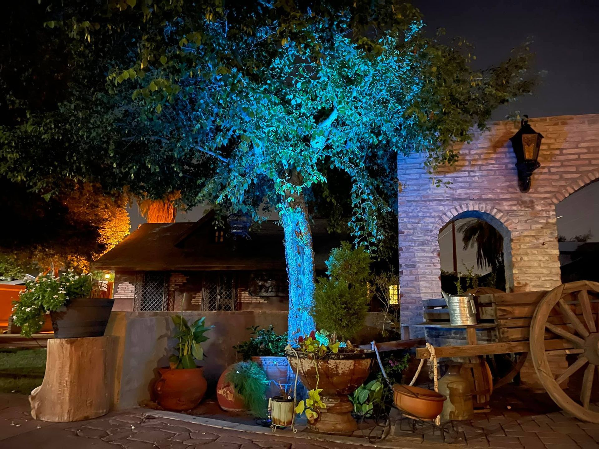 A tree is lit up with blue lights in front of a brick building.