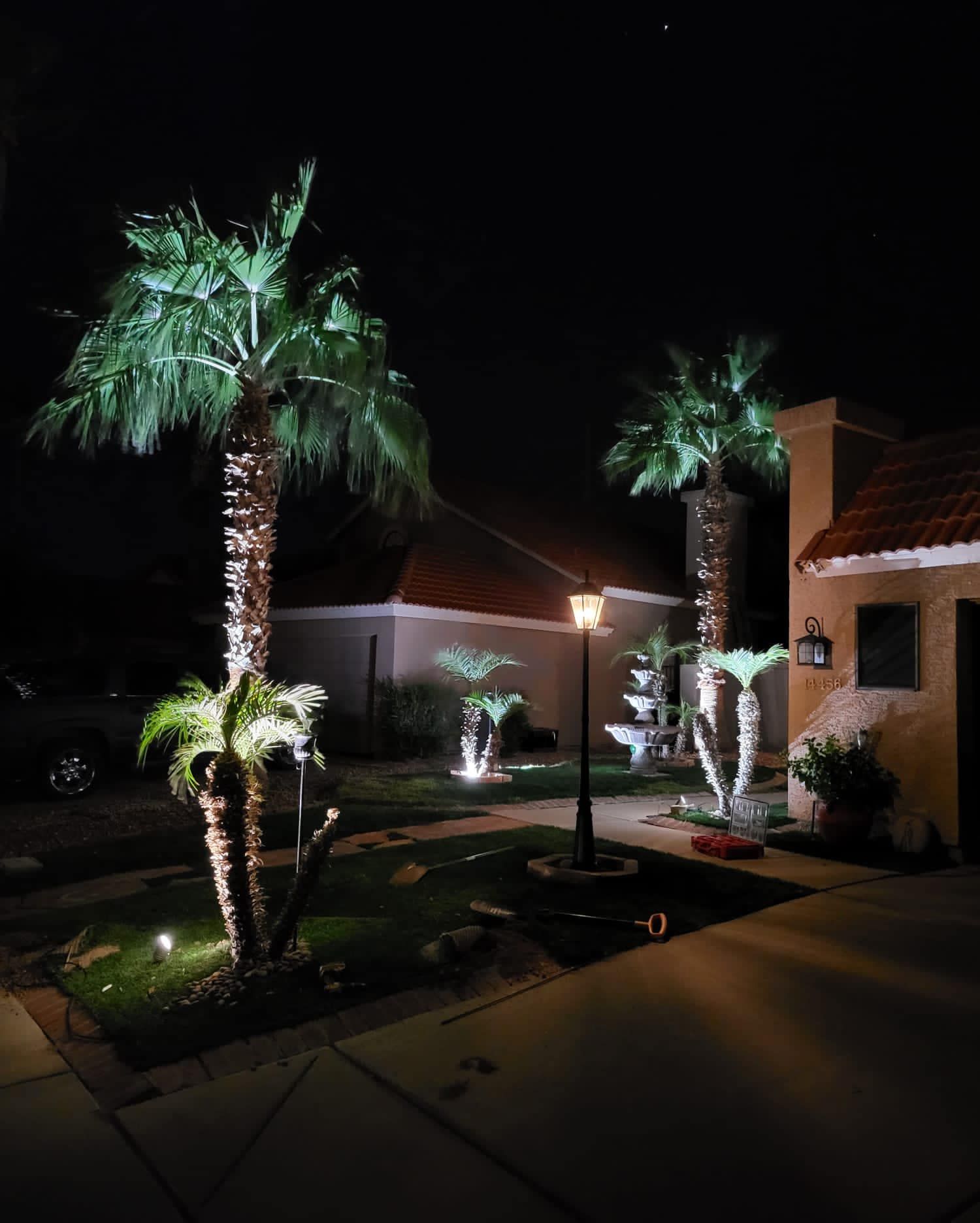 Palm trees are lit up at night in front of a house