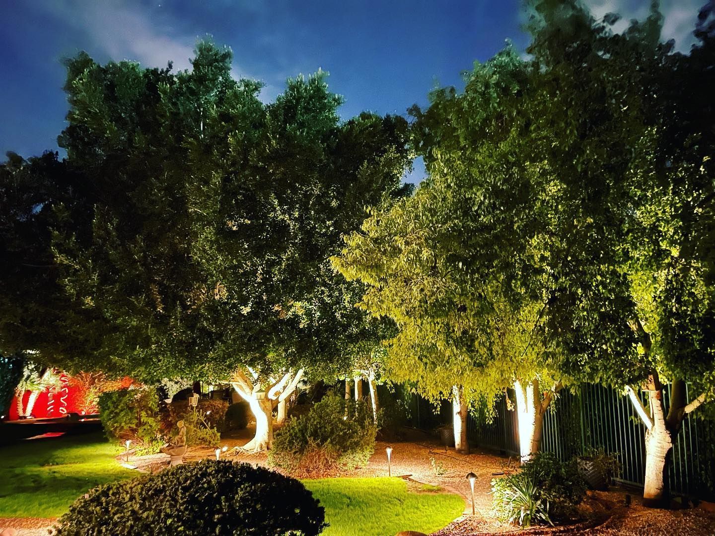 A row of trees are lit up at night in a park