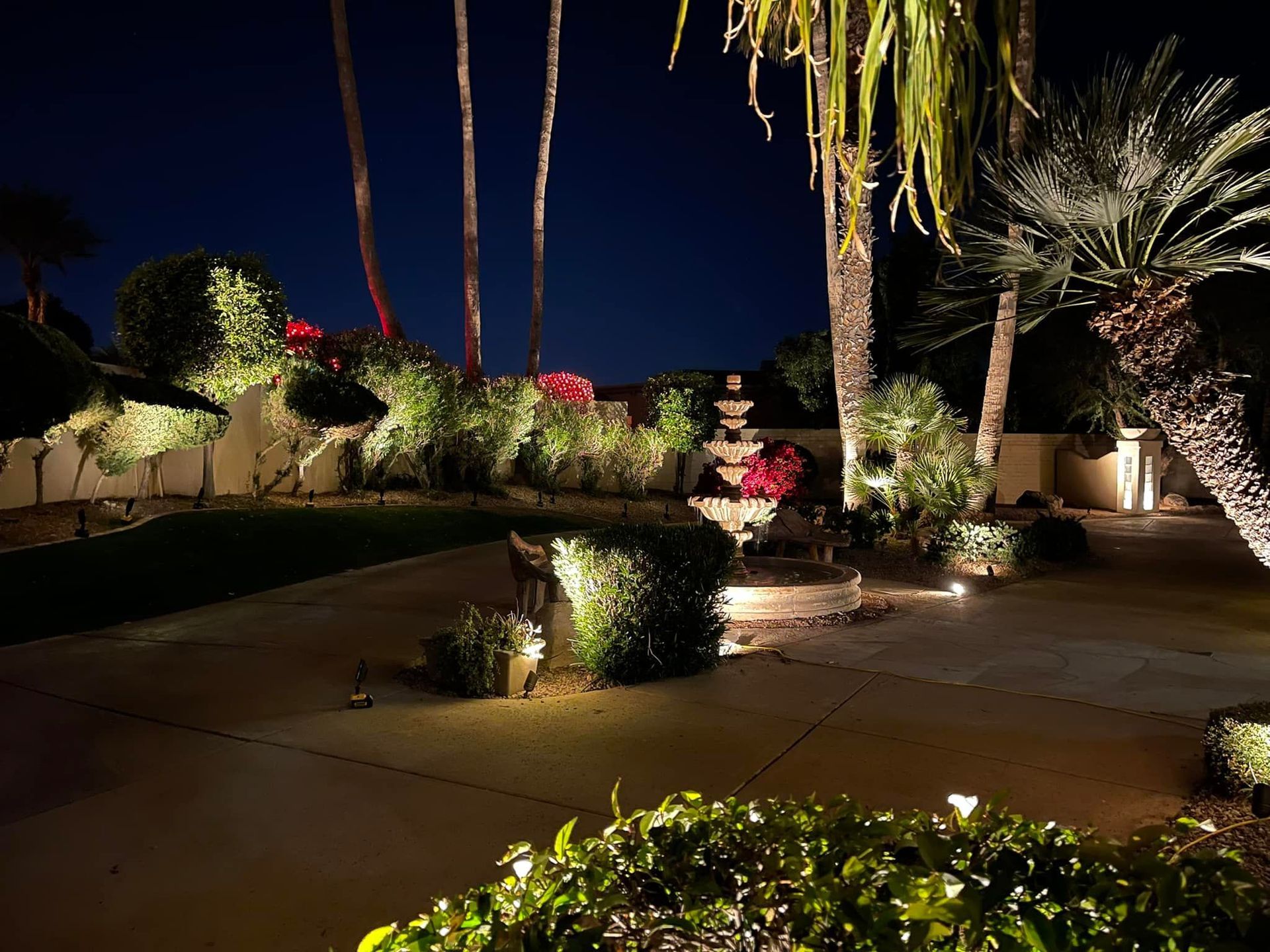 A backyard with a fountain and palm trees lit up at night