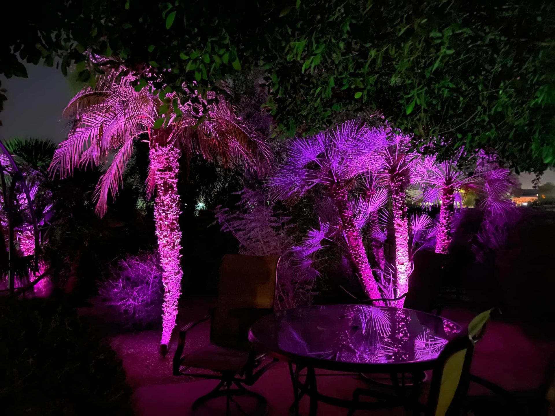 The palm trees are lit up with purple lights and there is a table and chairs in the foreground.