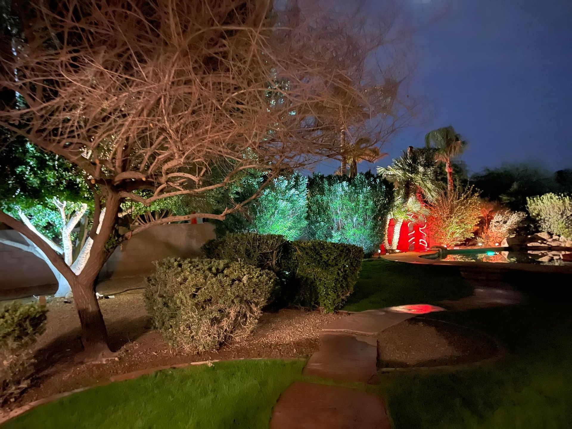 A garden with trees and bushes is lit up at night.
