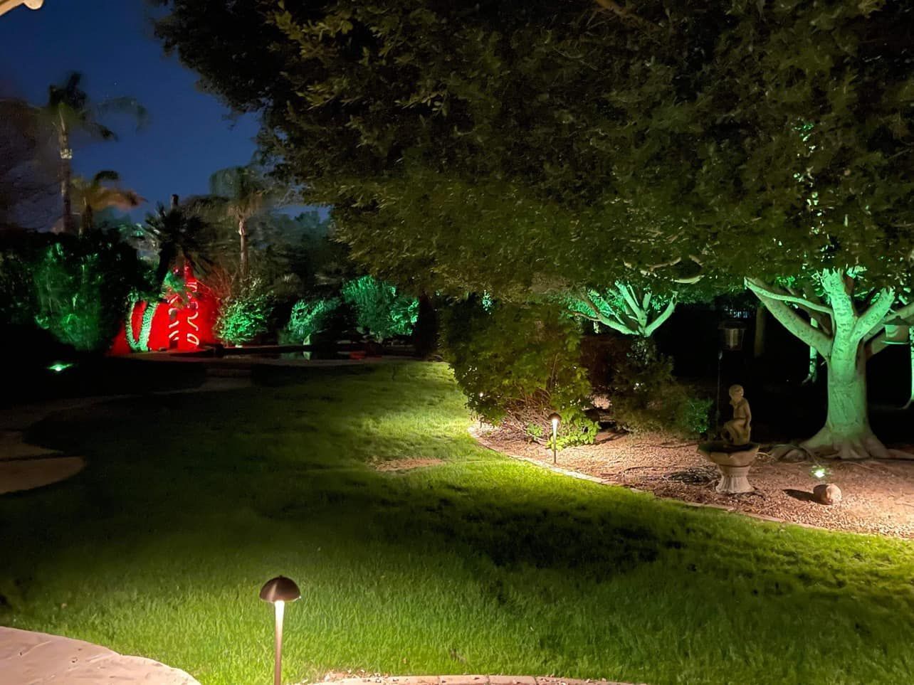 The trees are lit up with green and red lights at night.
