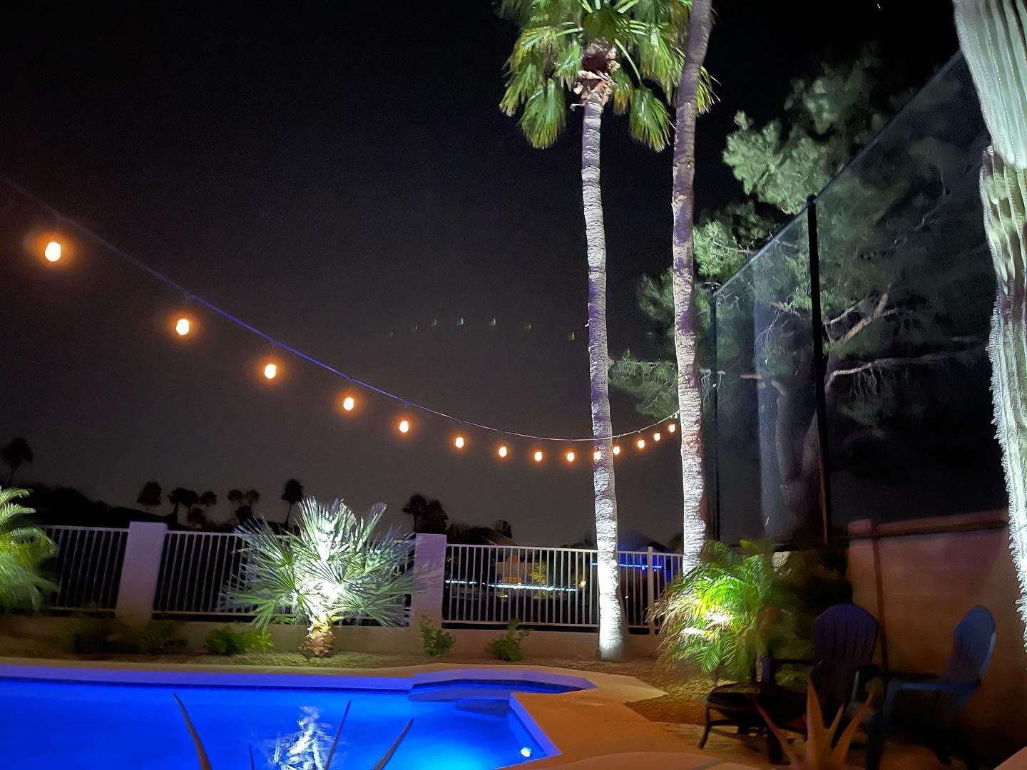A swimming pool is lit up at night with palm trees in the background