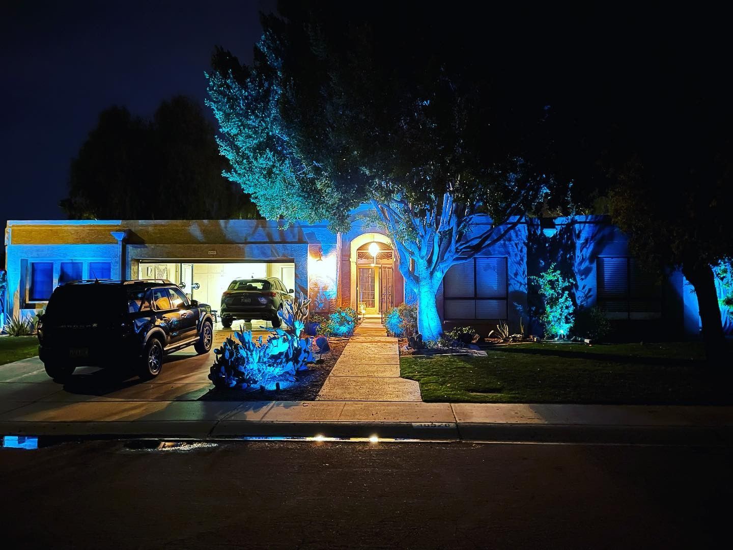A house is lit up with blue lights at night
