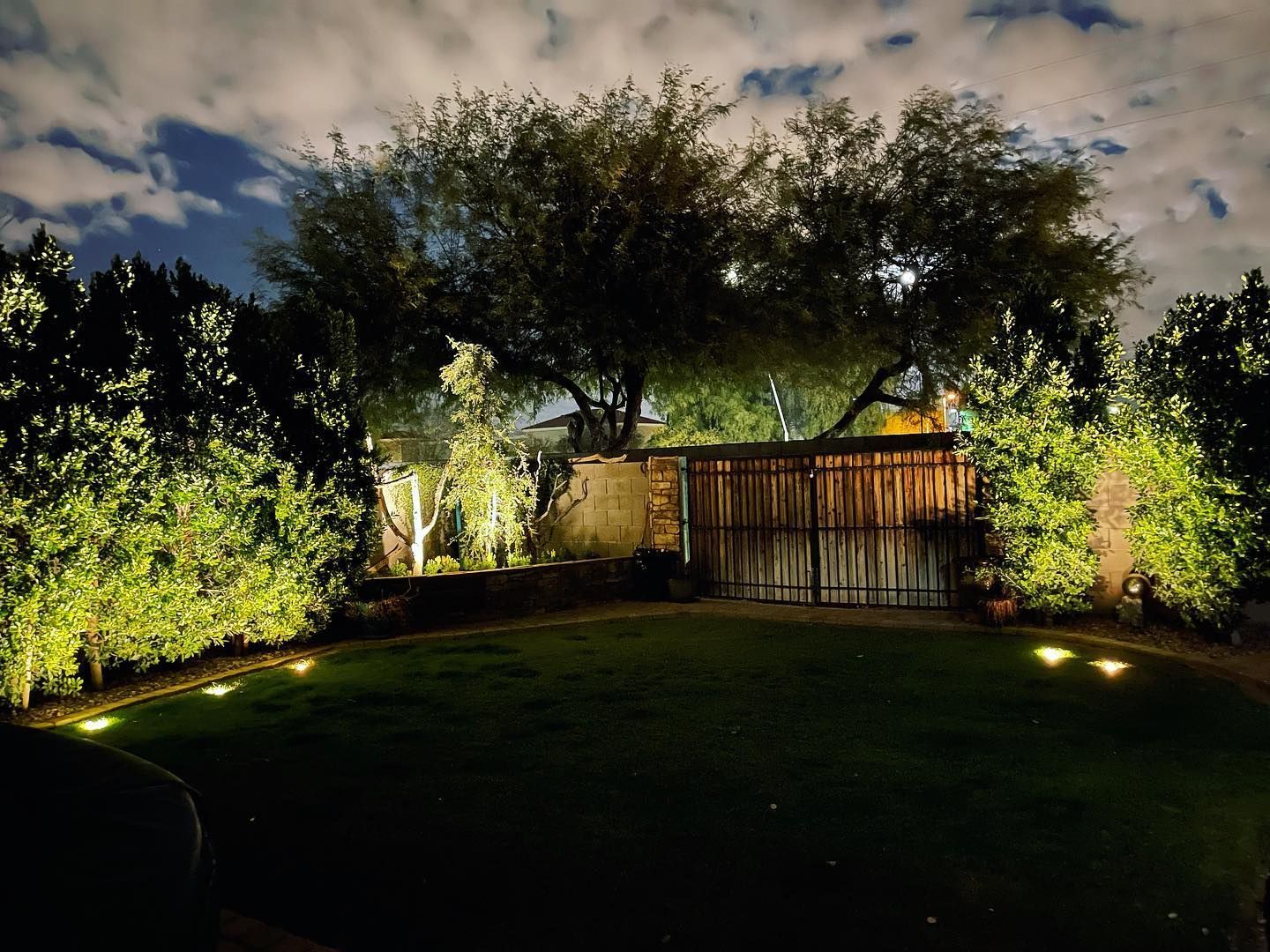 A fence and trees are lit up at night in a backyard.
