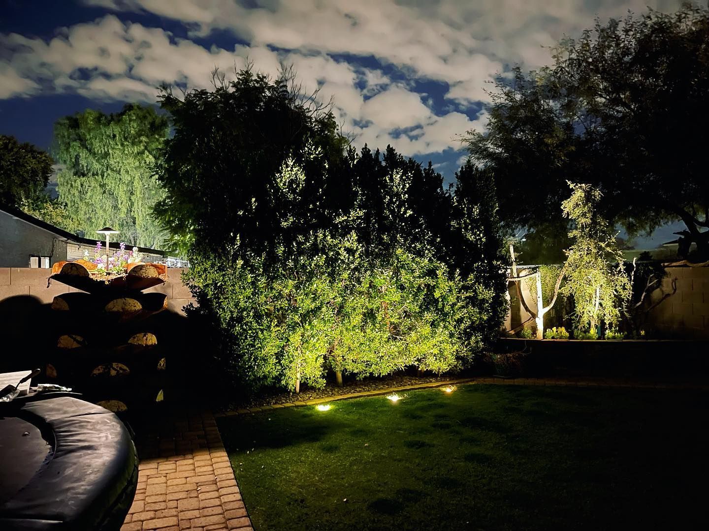 A backyard with trees and bushes lit up at night