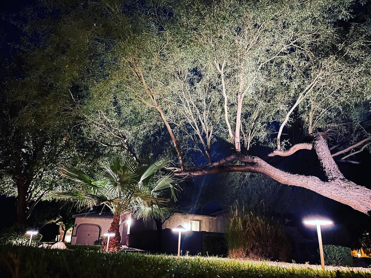 A tree is lit up at night in front of a house.