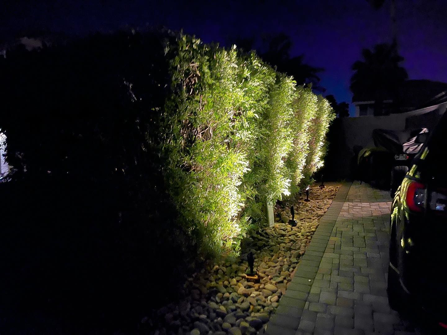 A car is parked in front of a hedge that is lit up at night.