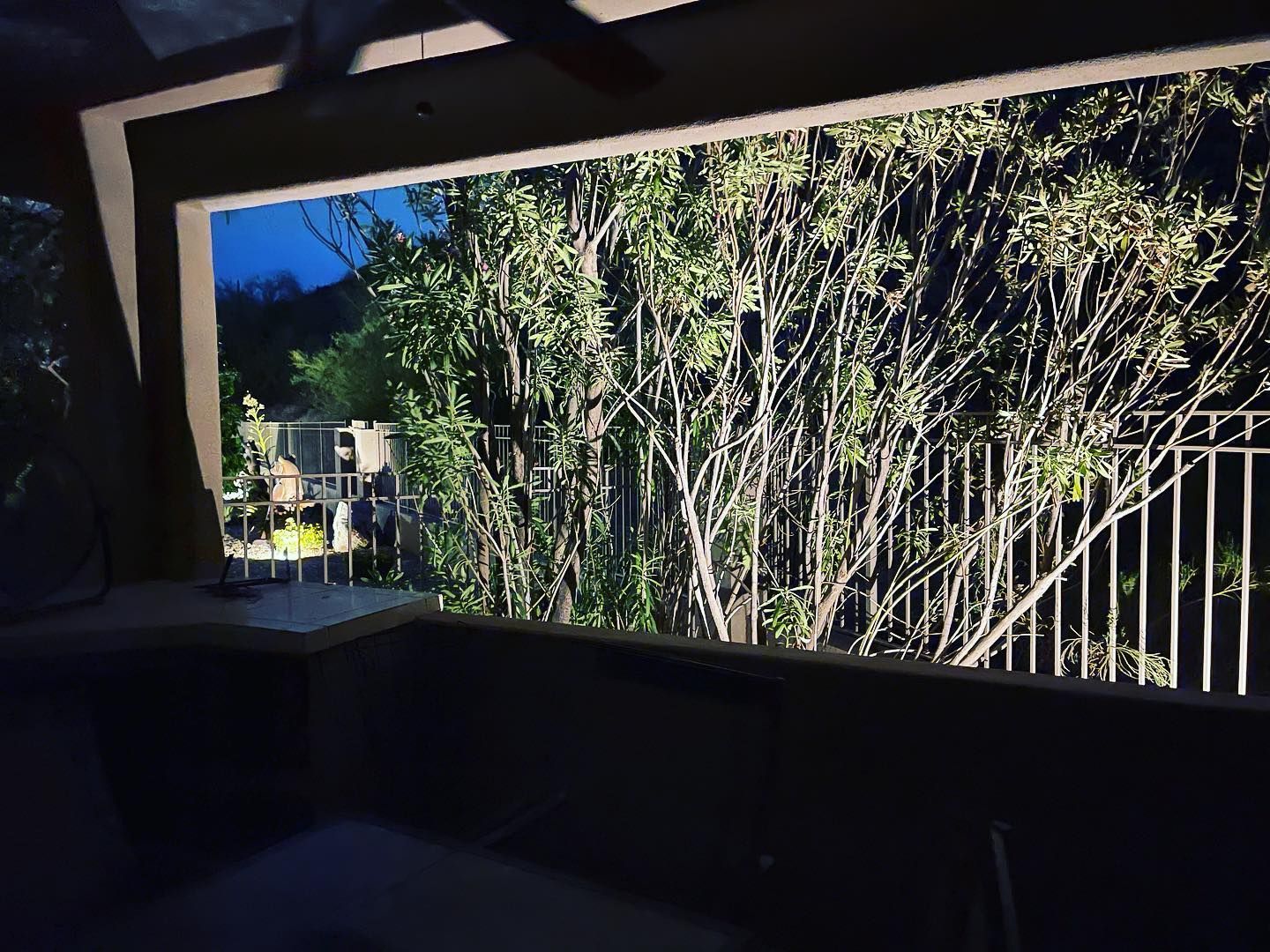 A window with a view of trees and a fence at night