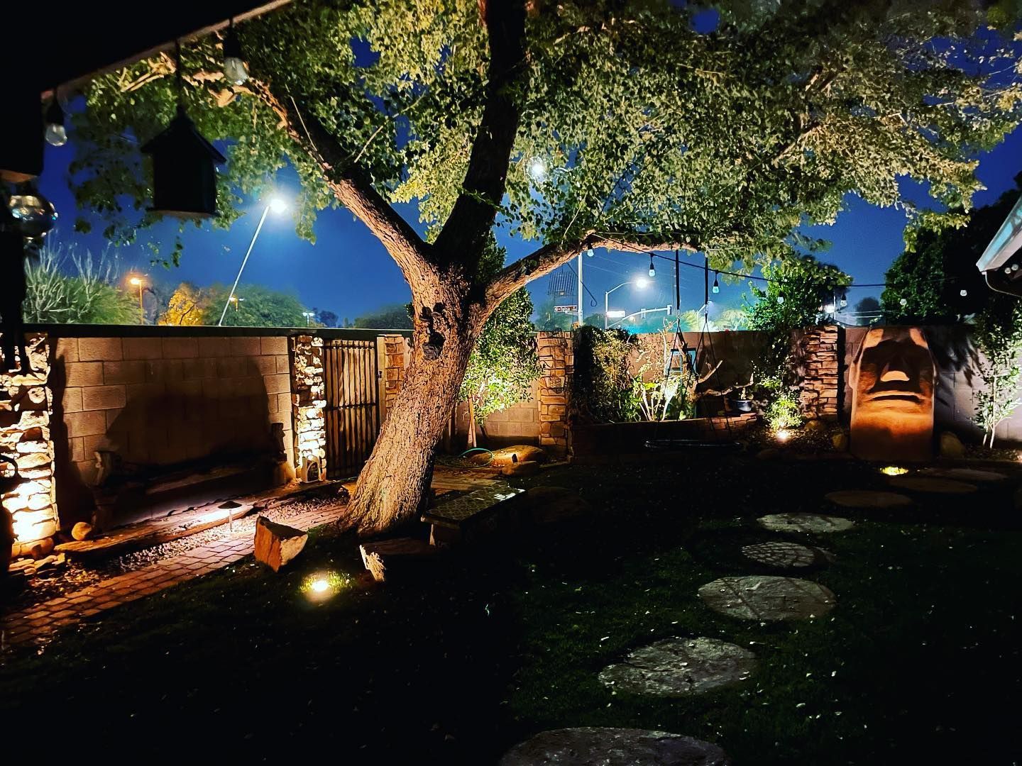 A tree in a backyard is lit up at night