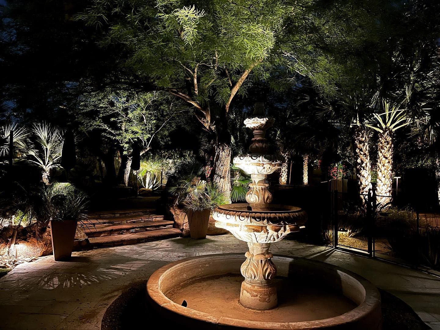 A fountain is lit up at night in a garden surrounded by trees.