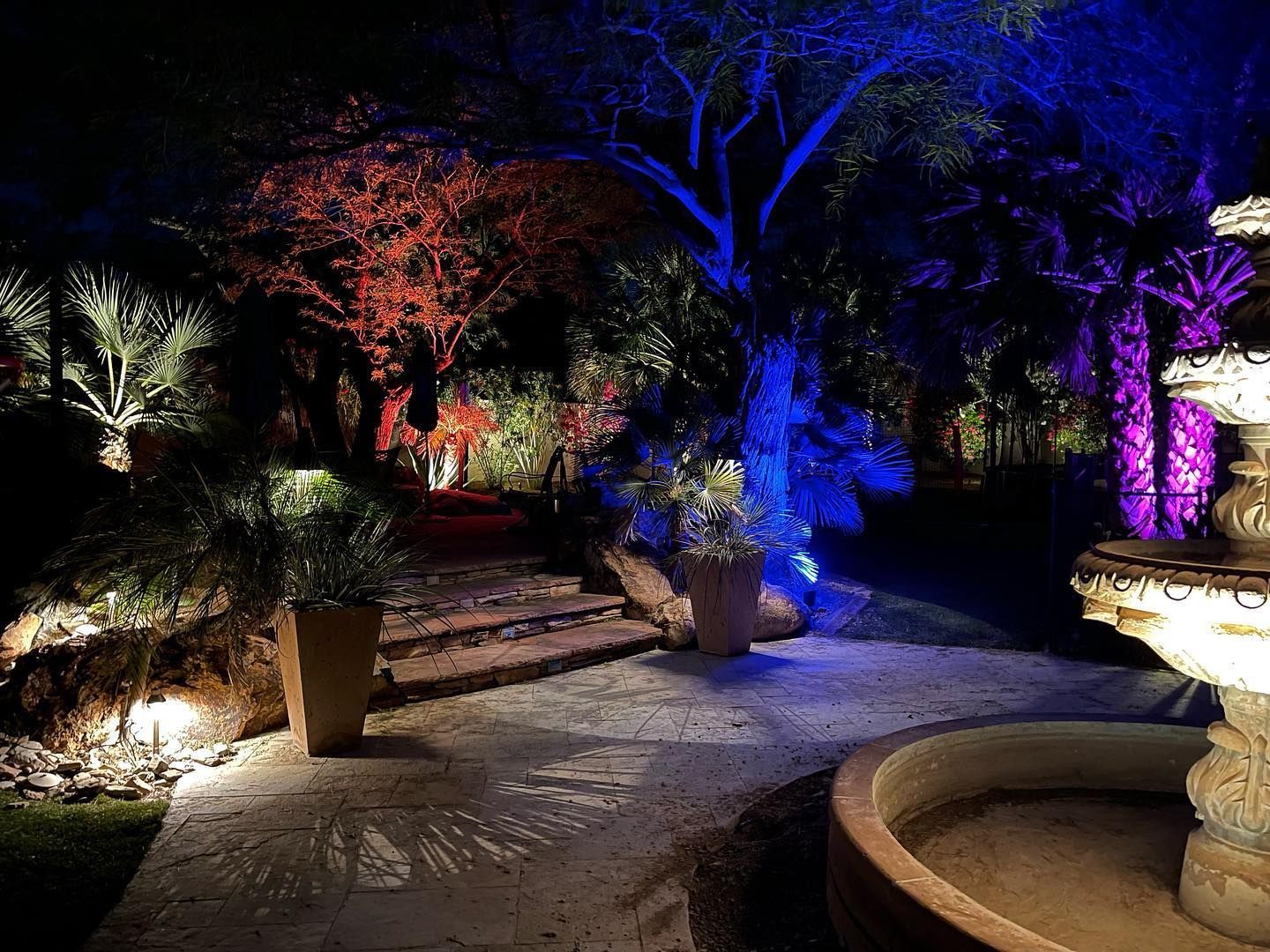 A fountain in a garden is lit up at night.