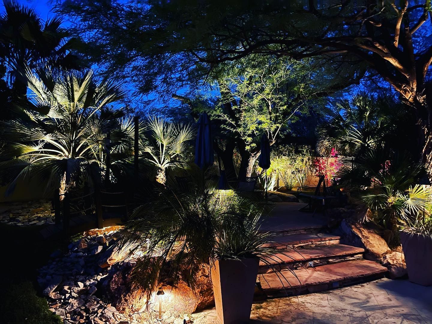 A path surrounded by trees and bushes is lit up at night.