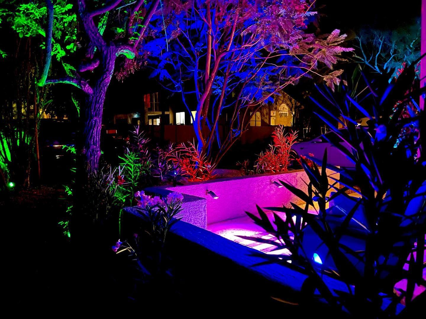 A swimming pool is lit up with purple and green lights at night.