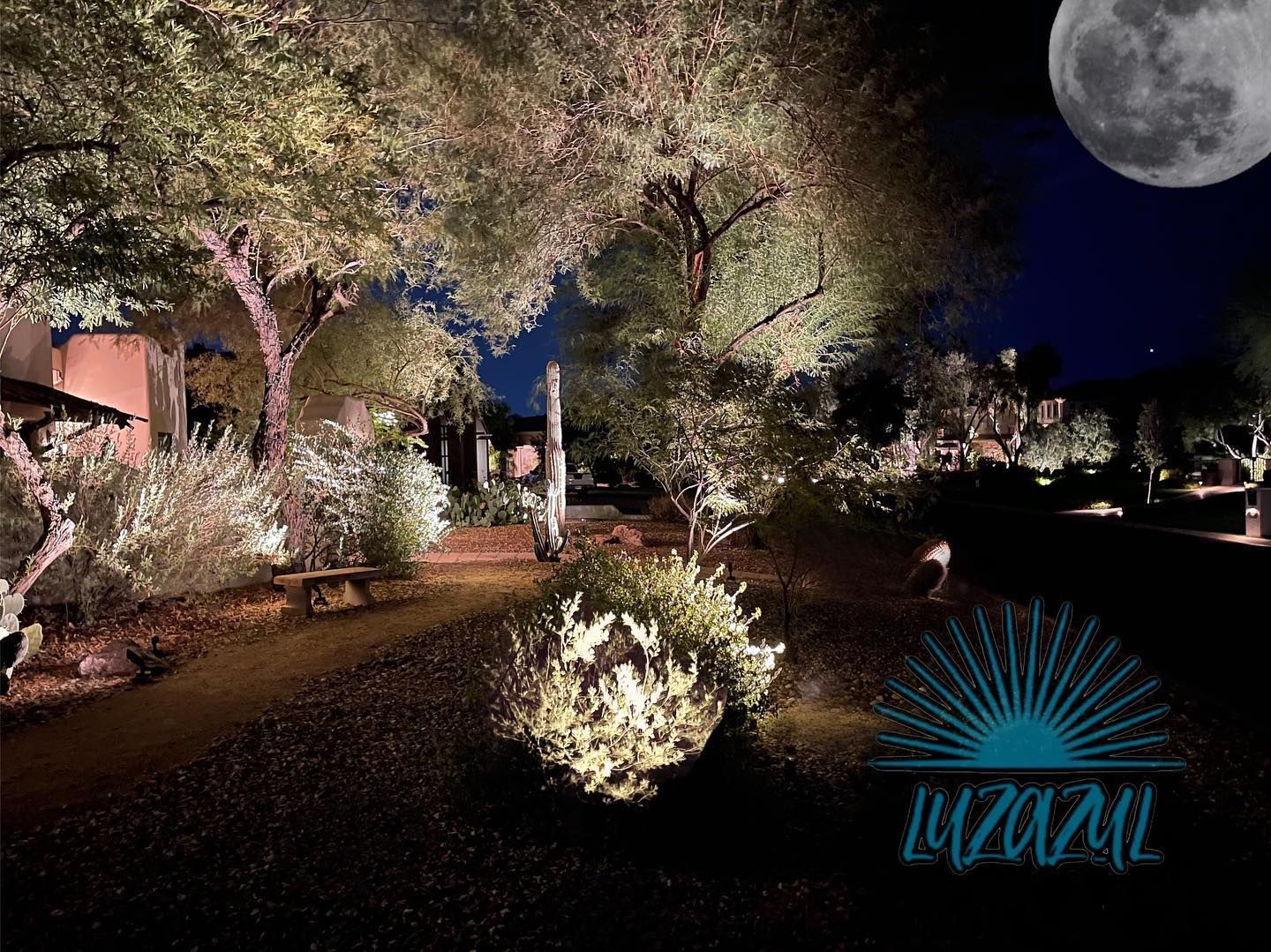 A garden with trees and bushes lit up at night with a full moon in the background.