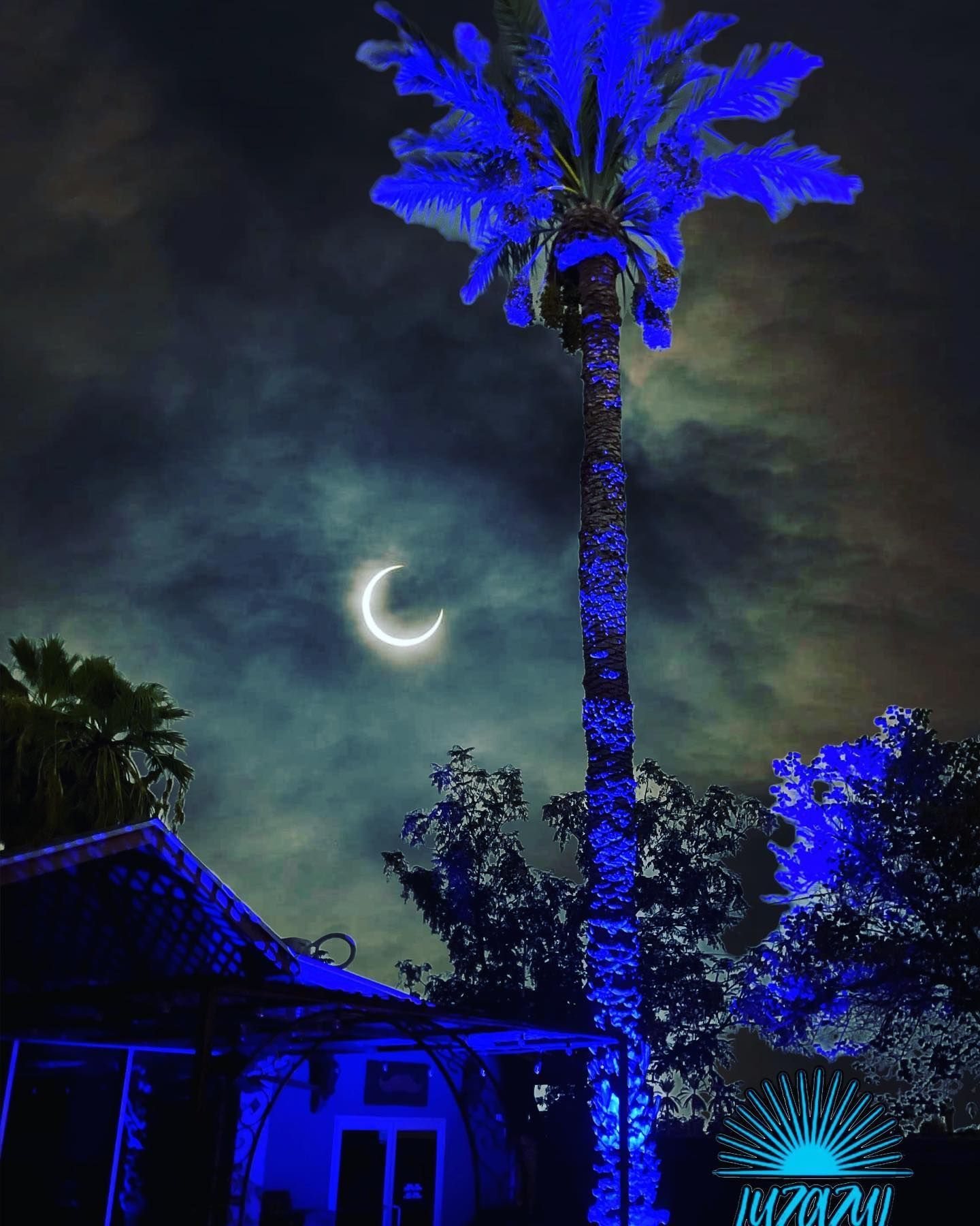 A palm tree is lit up in blue with a crescent moon in the background