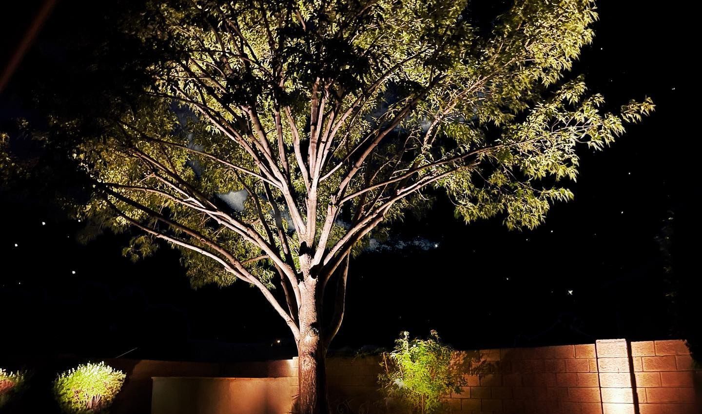 A tree is lit up at night in front of a brick wall.