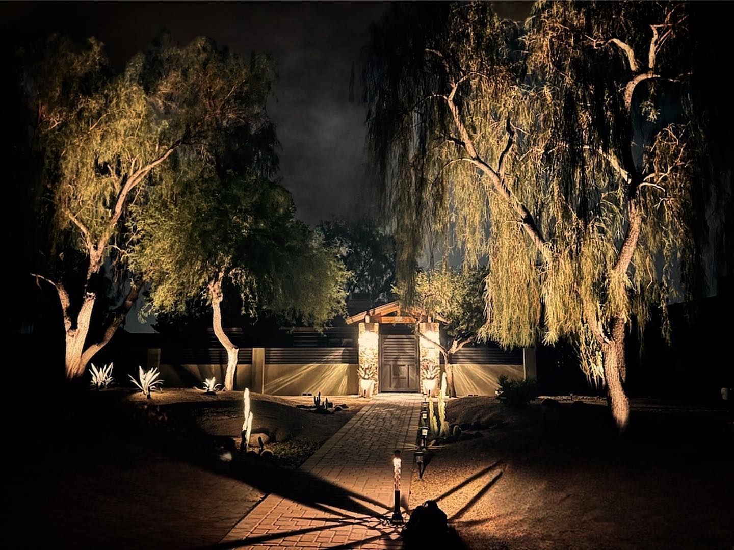A dark park with trees and a building lit up at night.