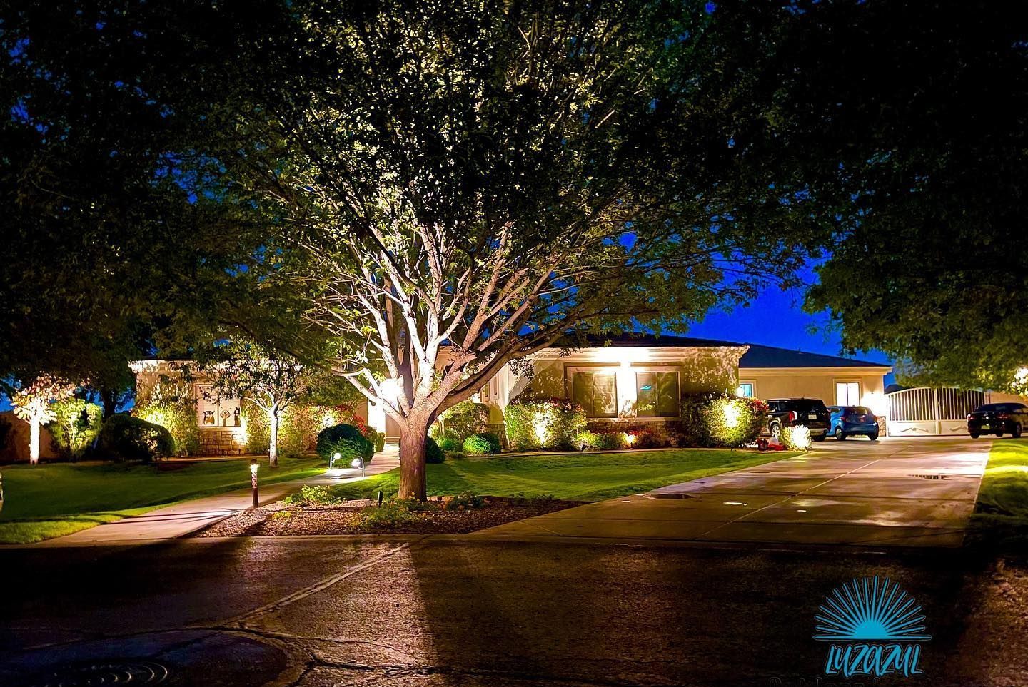 A tree is lit up in front of a house at night.
