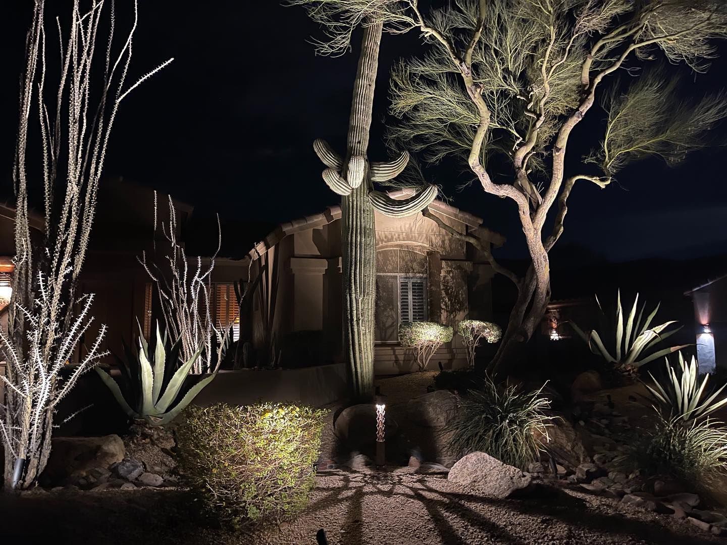 A house with a cactus in front of it is lit up at night.