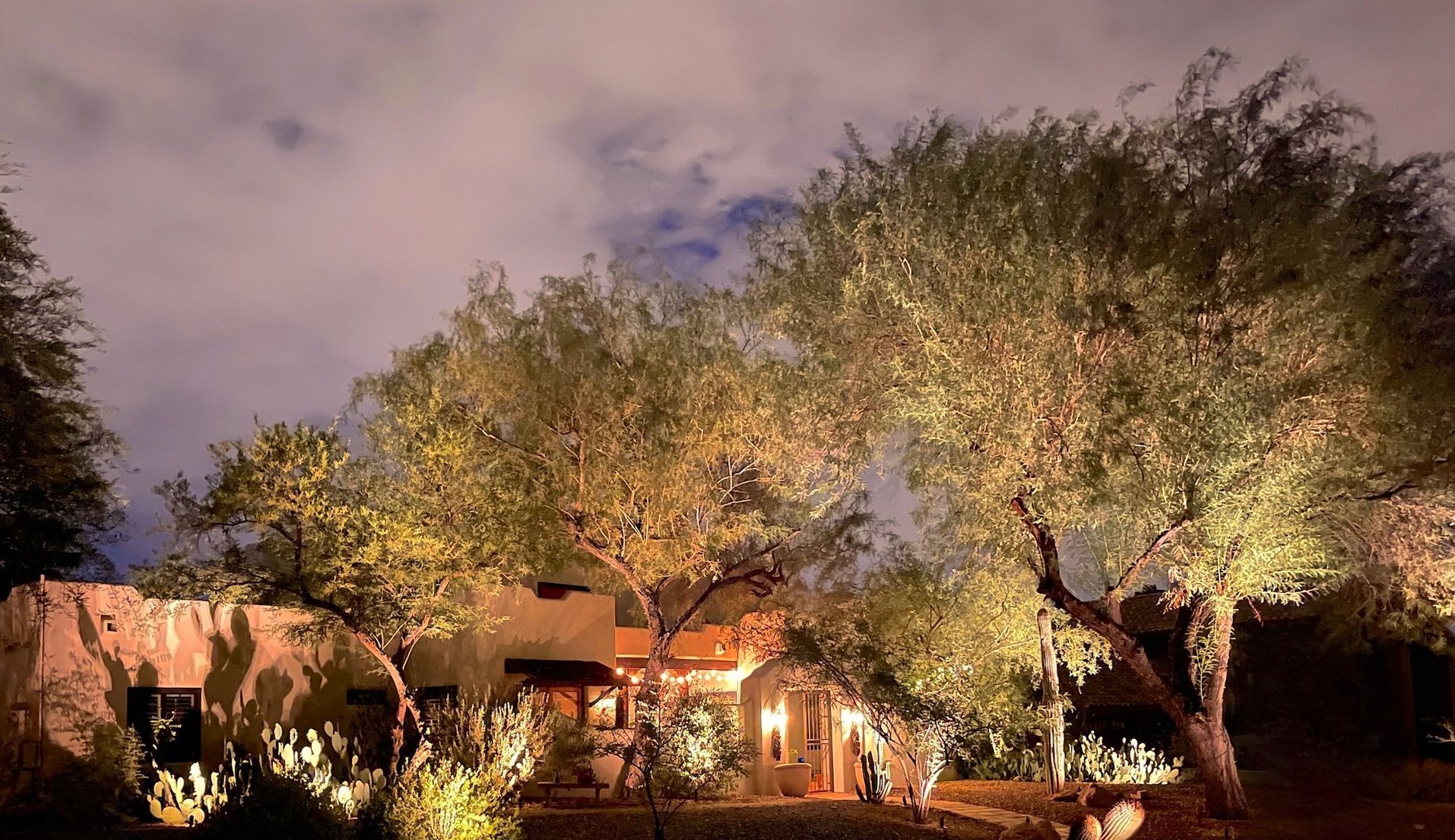 A house is lit up at night with trees in front of it.
