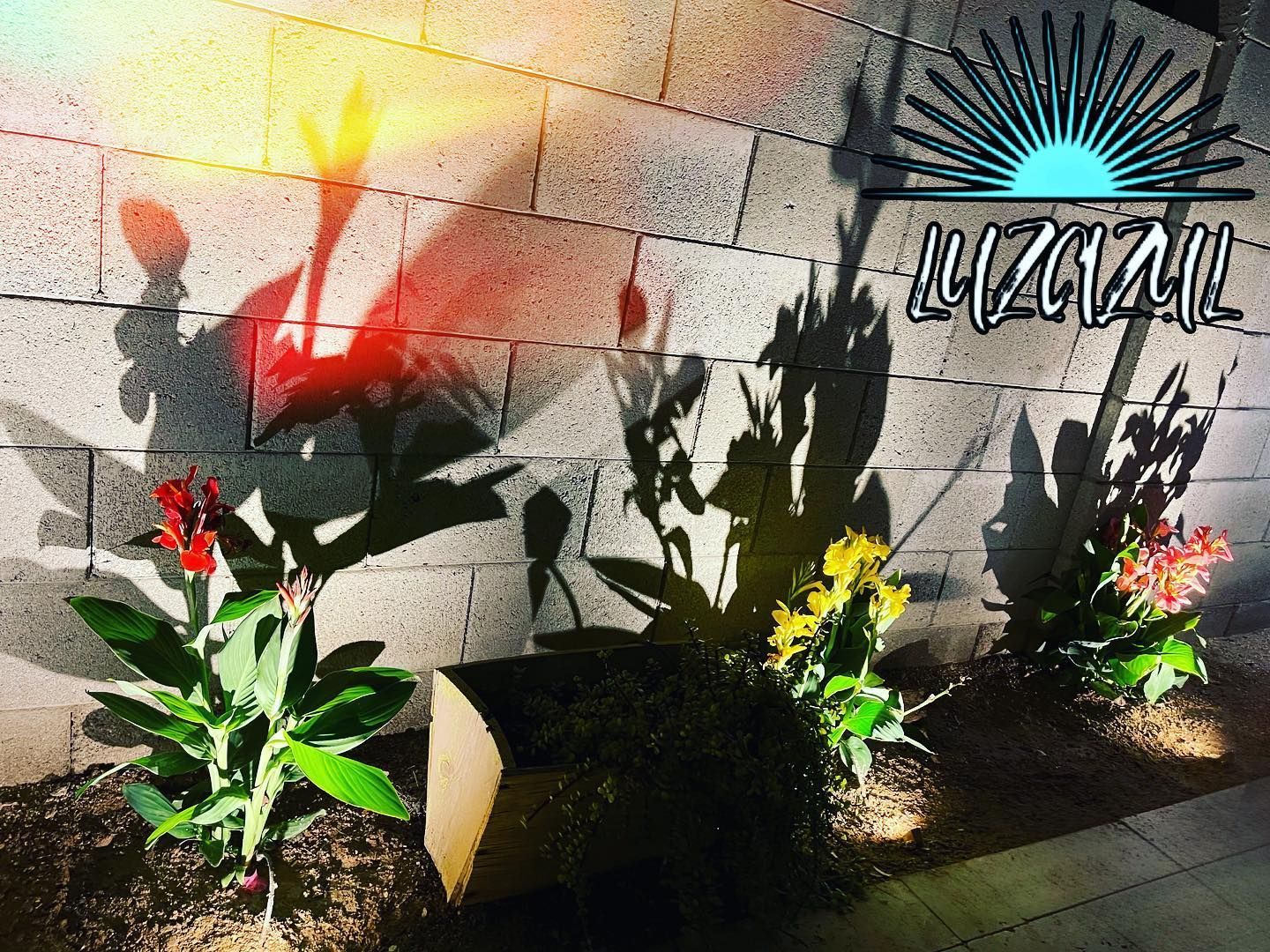 A brick wall with a sign that says luz azul