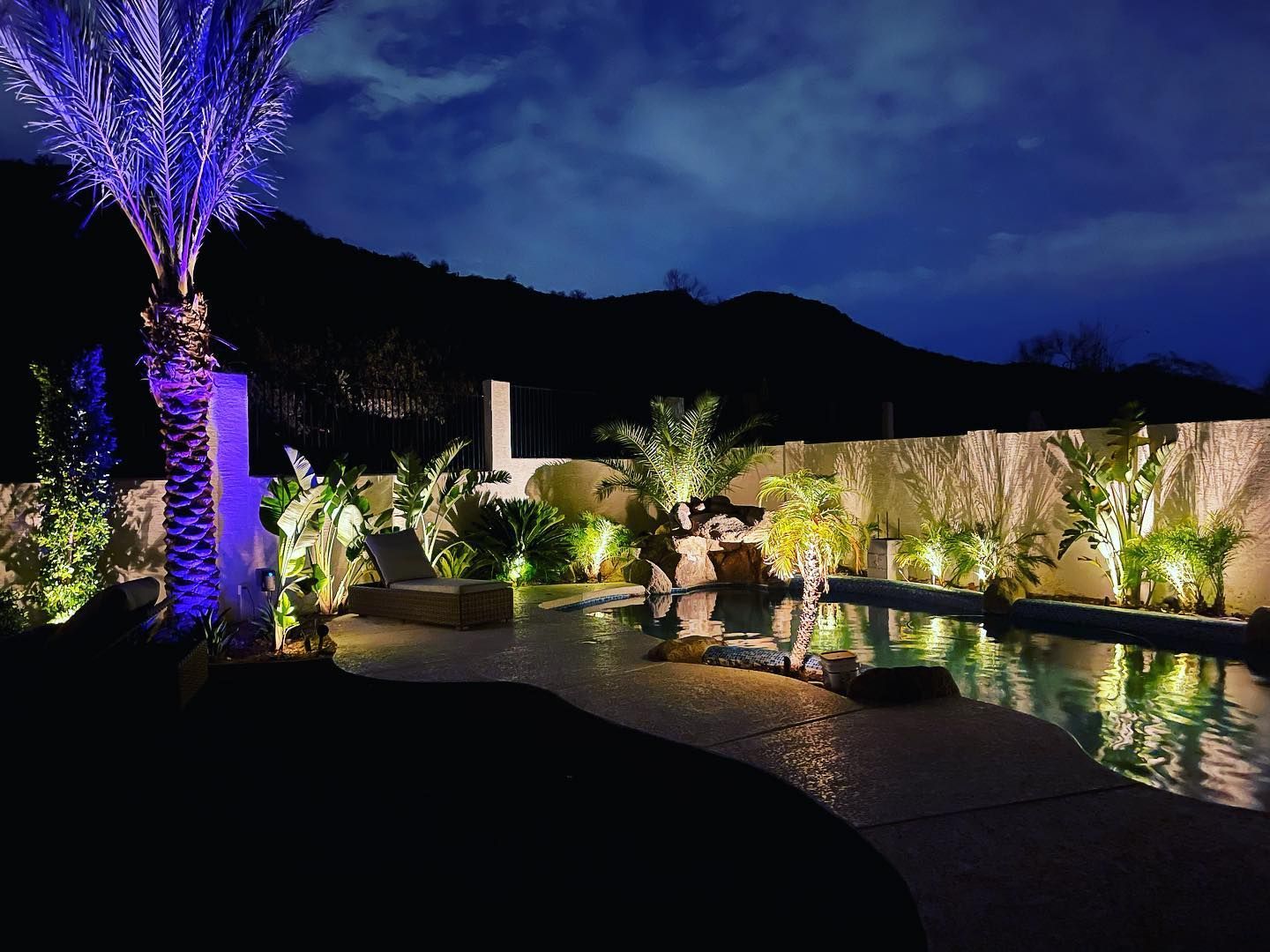 A swimming pool is lit up at night with a palm tree in the foreground.