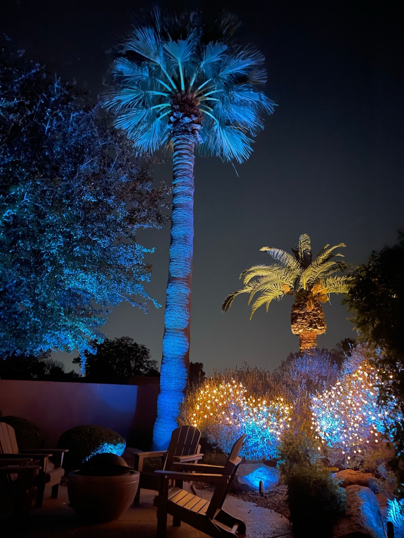A palm tree is lit up with blue lights at night