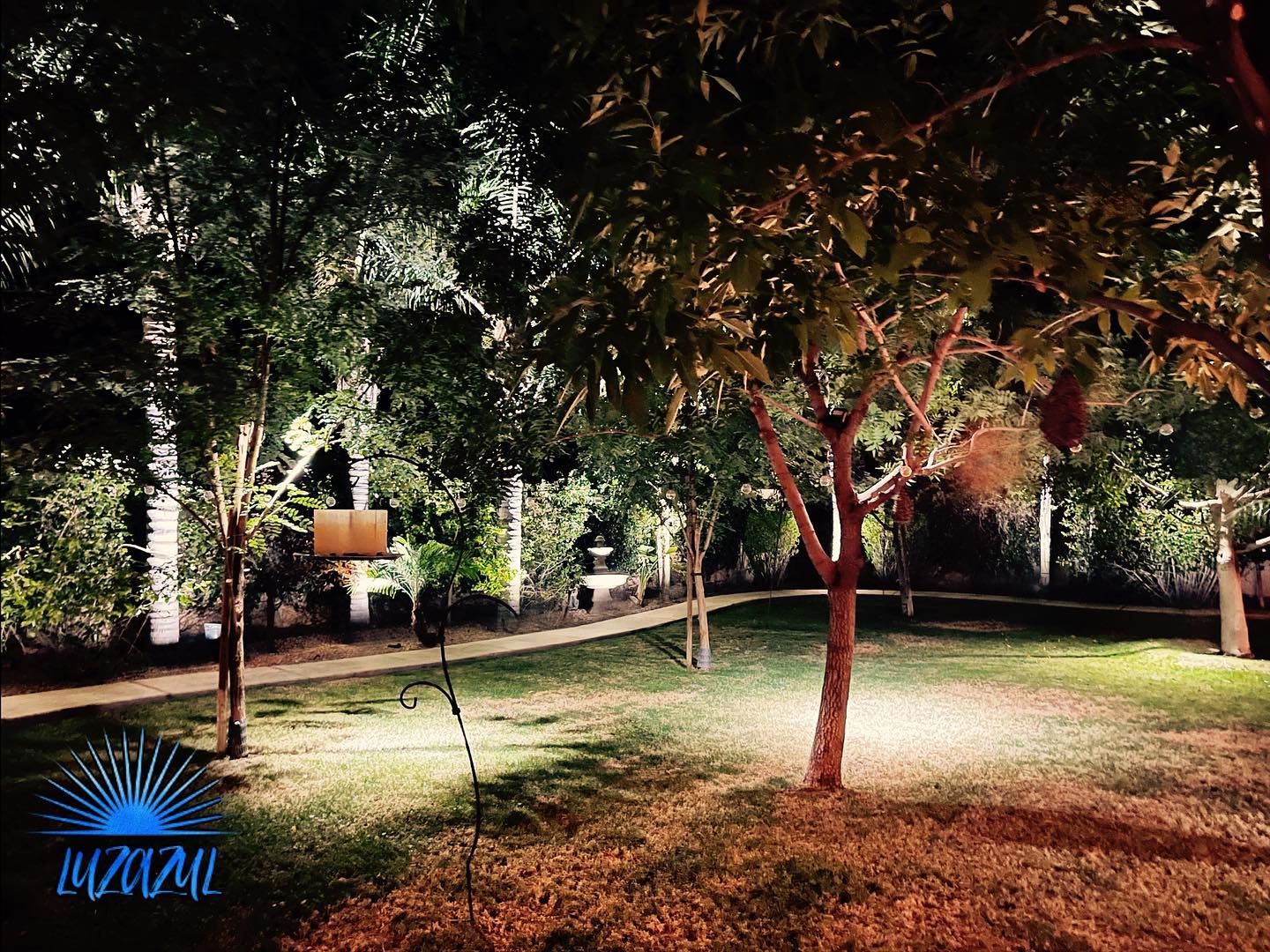 A park with trees and a basketball hoop lit up at night.