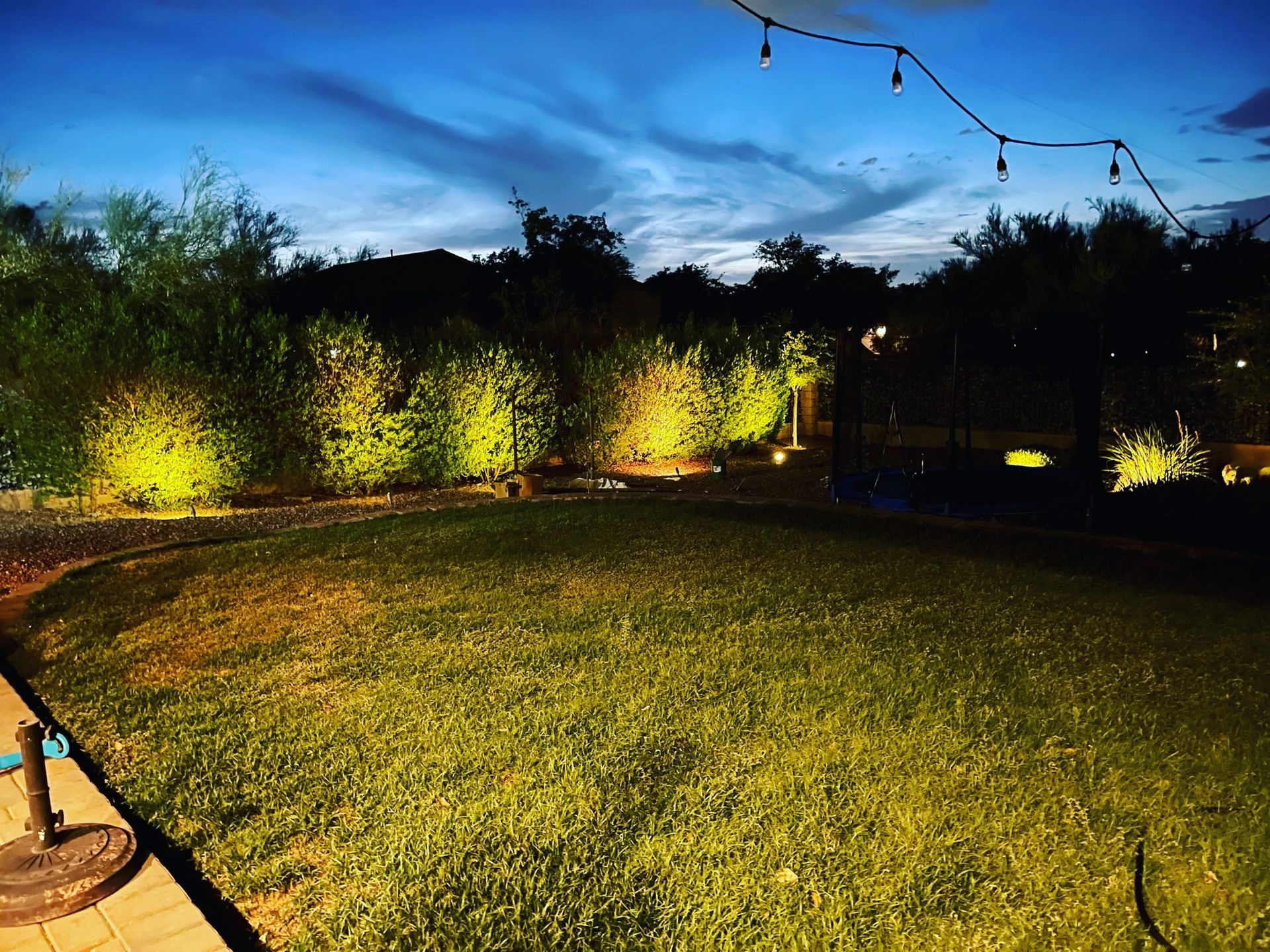 A lawn is lit up at night with a string of lights hanging from the trees.