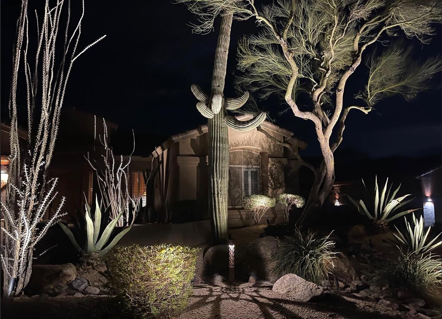 A house with a cactus in front of it is lit up at night.