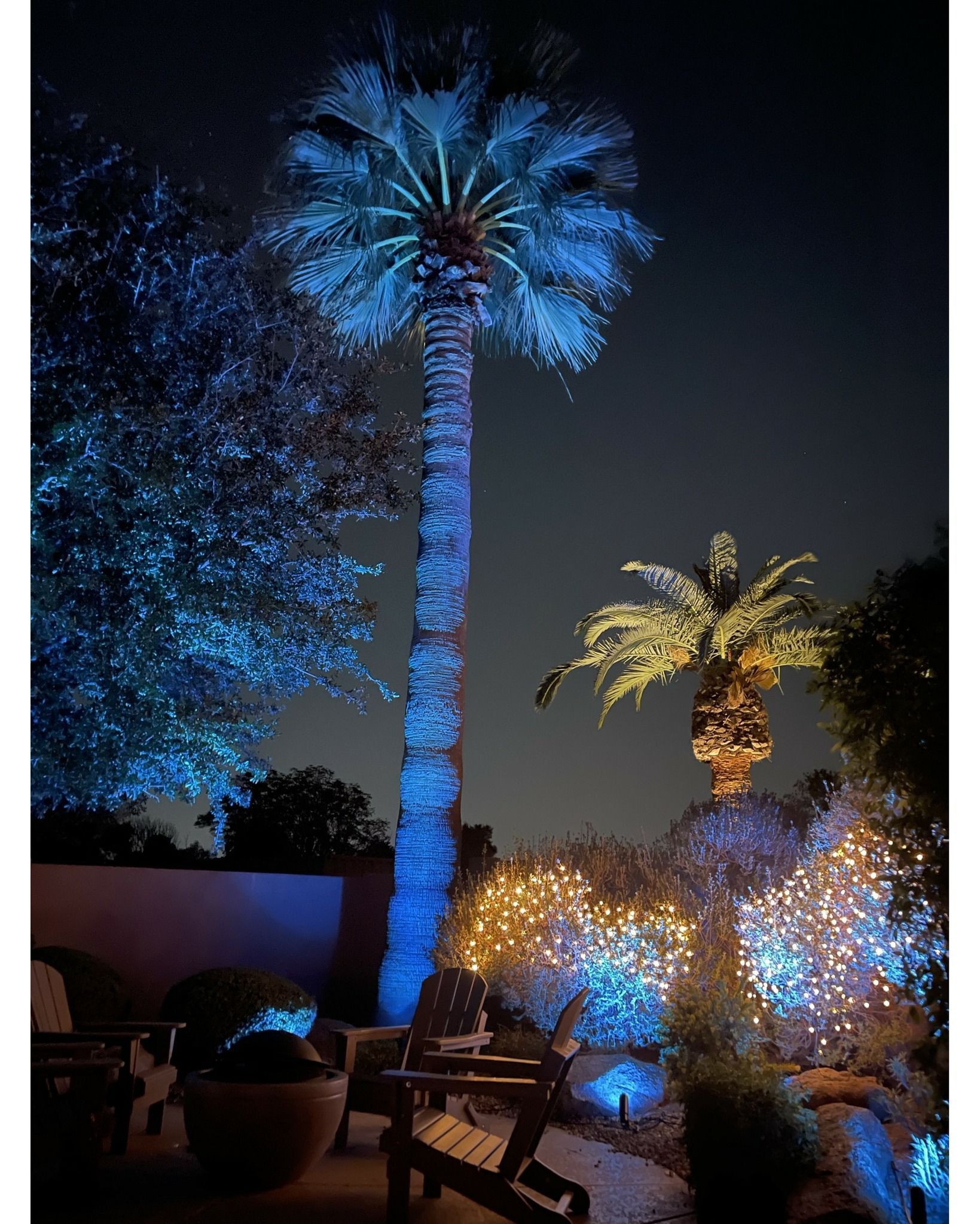 A palm tree is lit up with blue lights at night