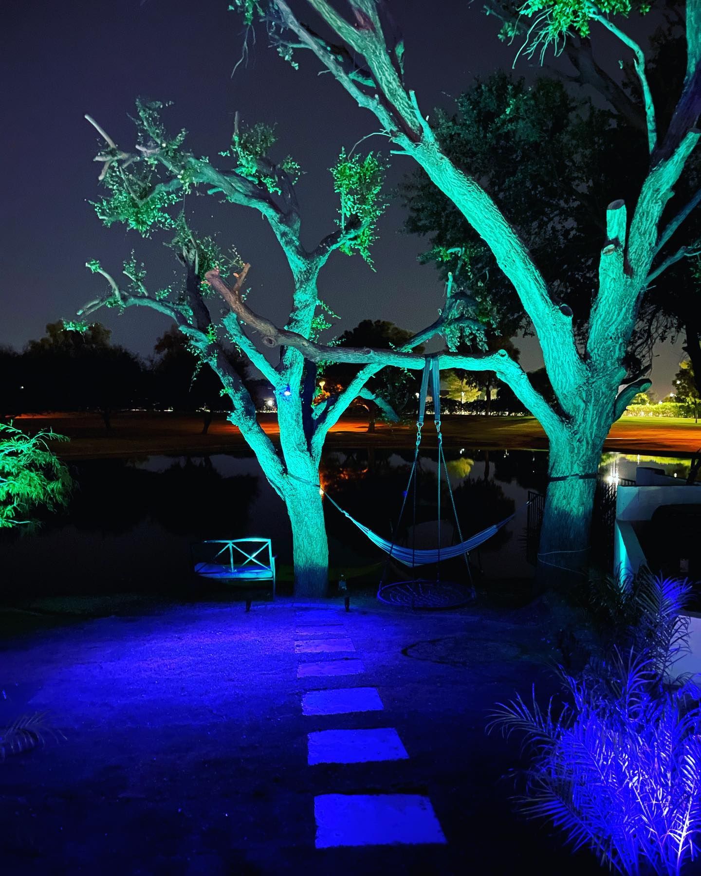 A tree is lit up with blue lights at night