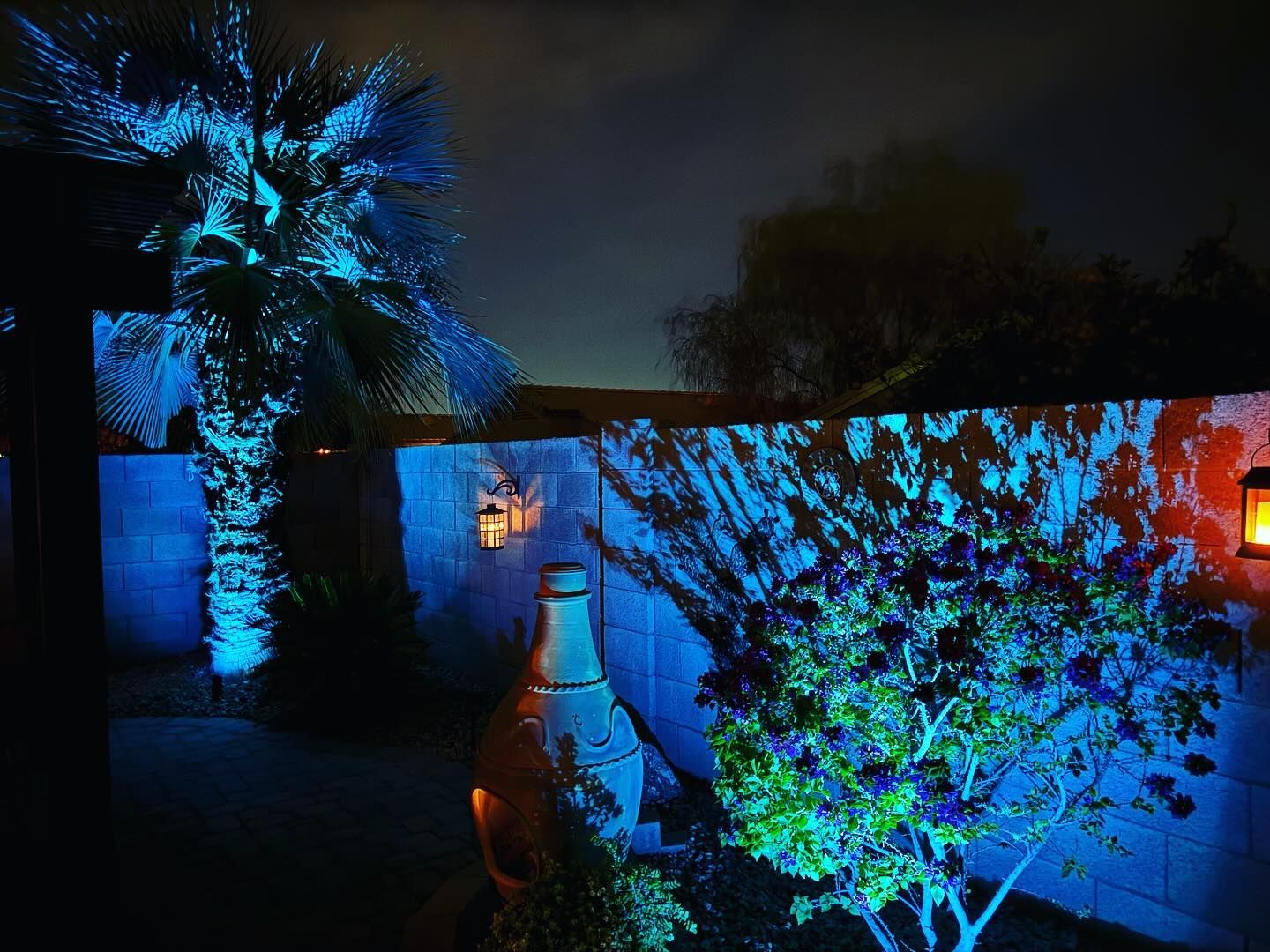 A palm tree is lit up with blue lights at night