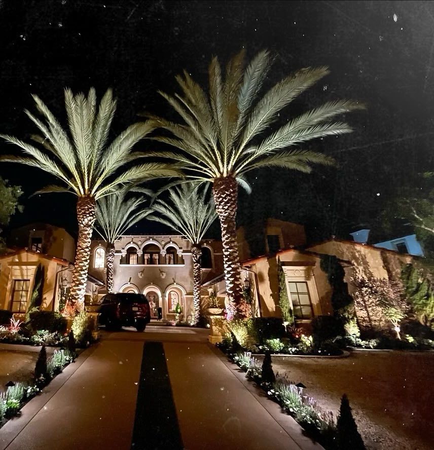 A house with palm trees in front of it at night