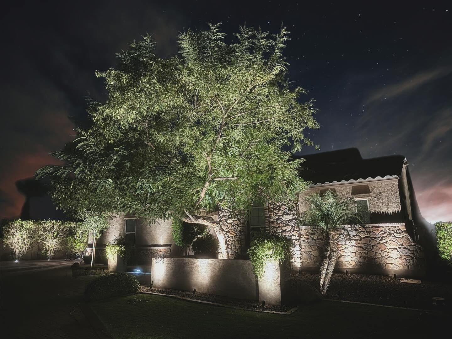 A tree is lit up in front of a stone building at night