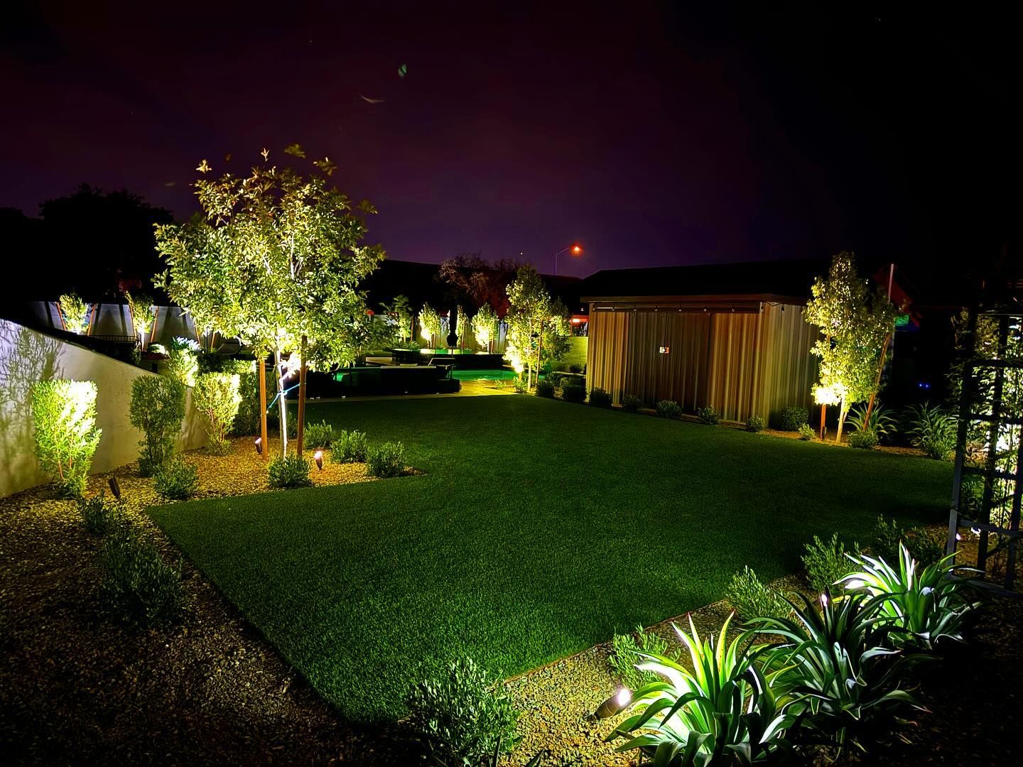 A garden is lit up at night with trees and bushes