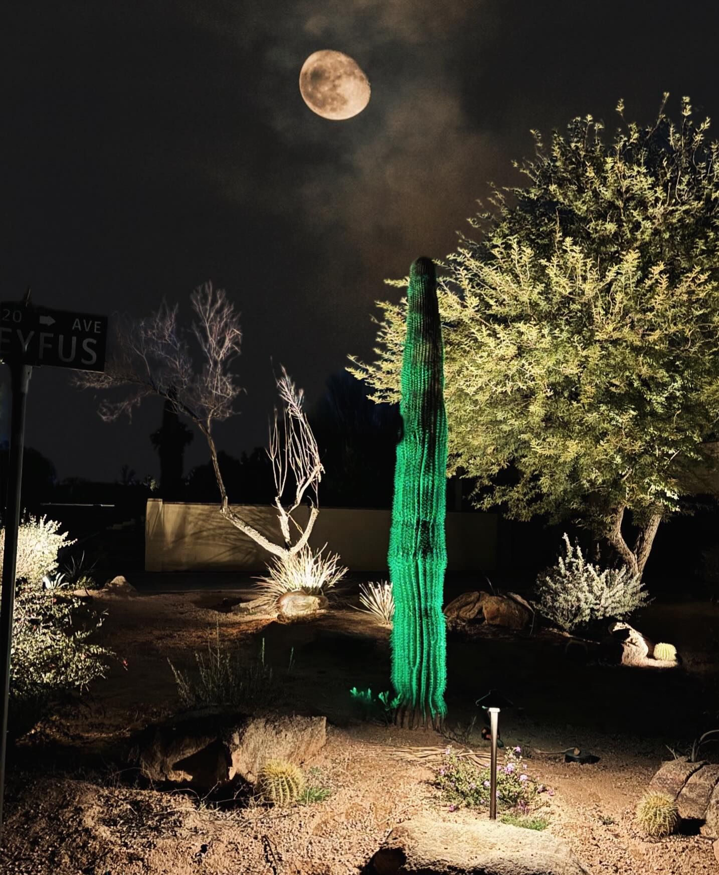 A full moon is visible above a street sign that says venus